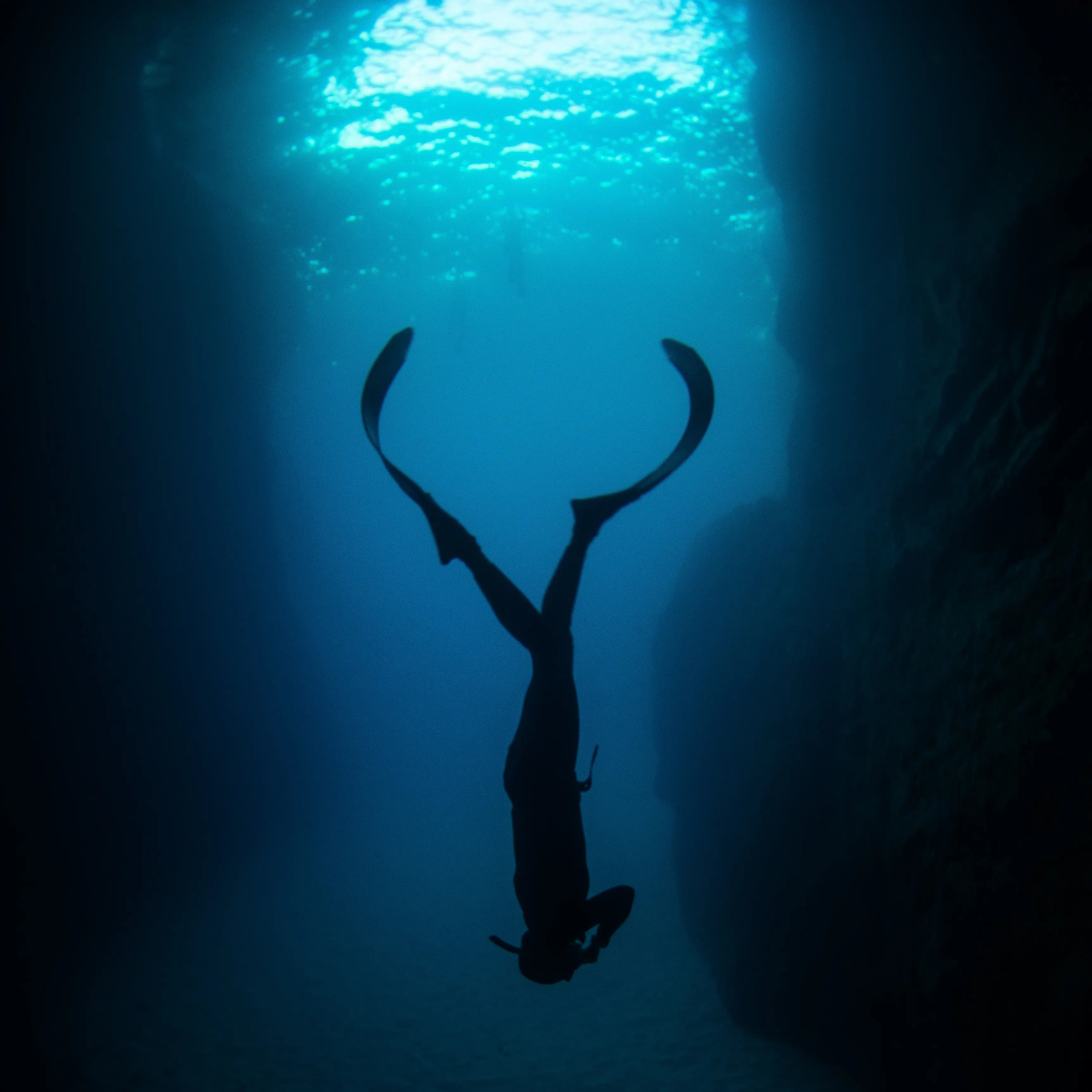 Simbad journey to the World 🌎 free diving competition  episode artwork