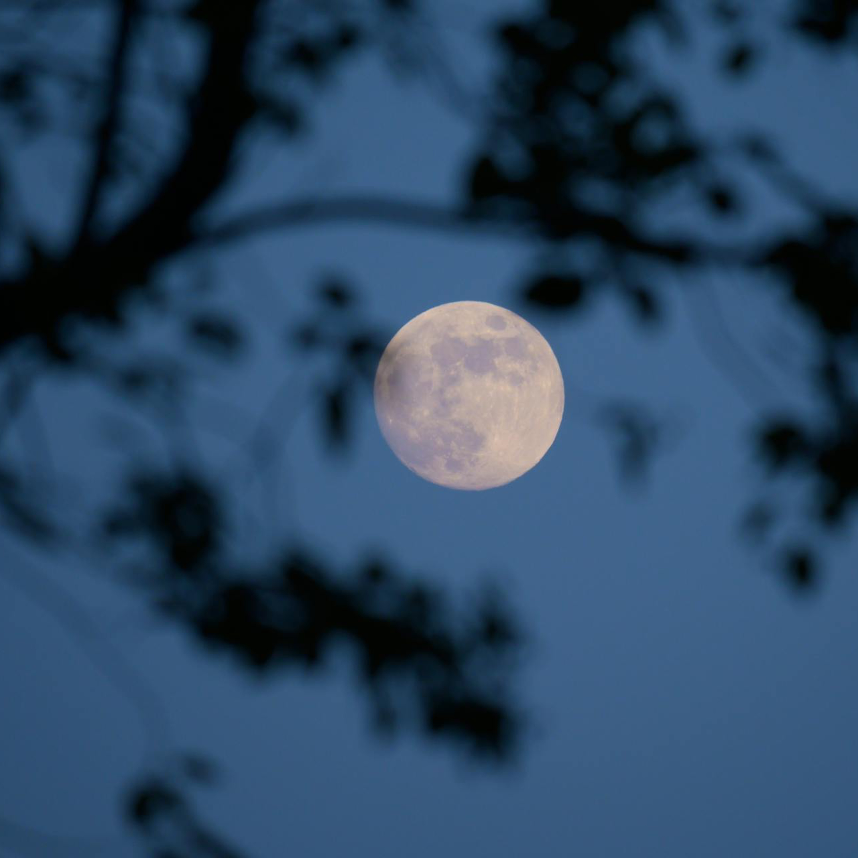 Listen While You Sleep ✨Full Moon Healing Meditation for Deep Emotional Release & Renewal episode artwork