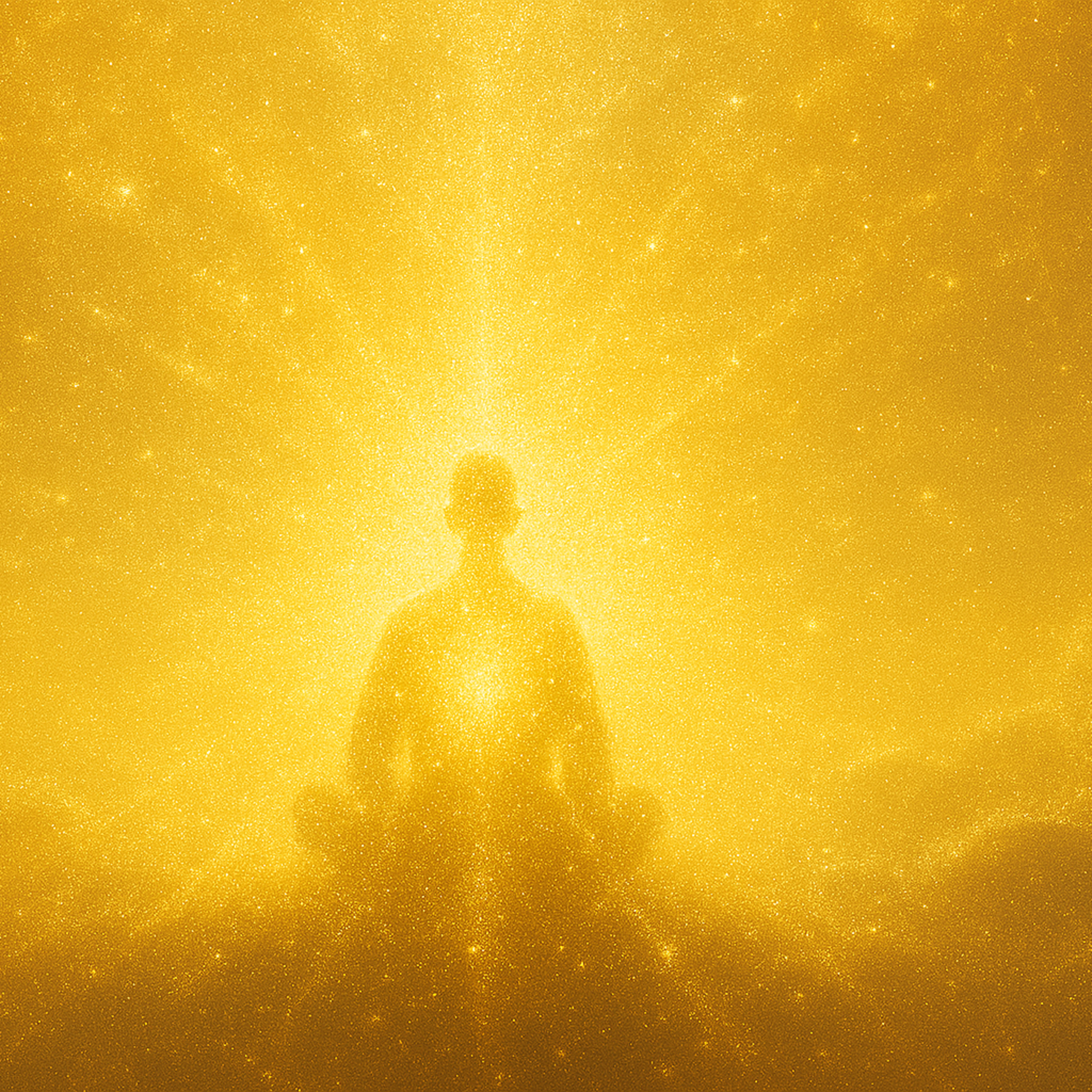 Miracle Voice of Heart