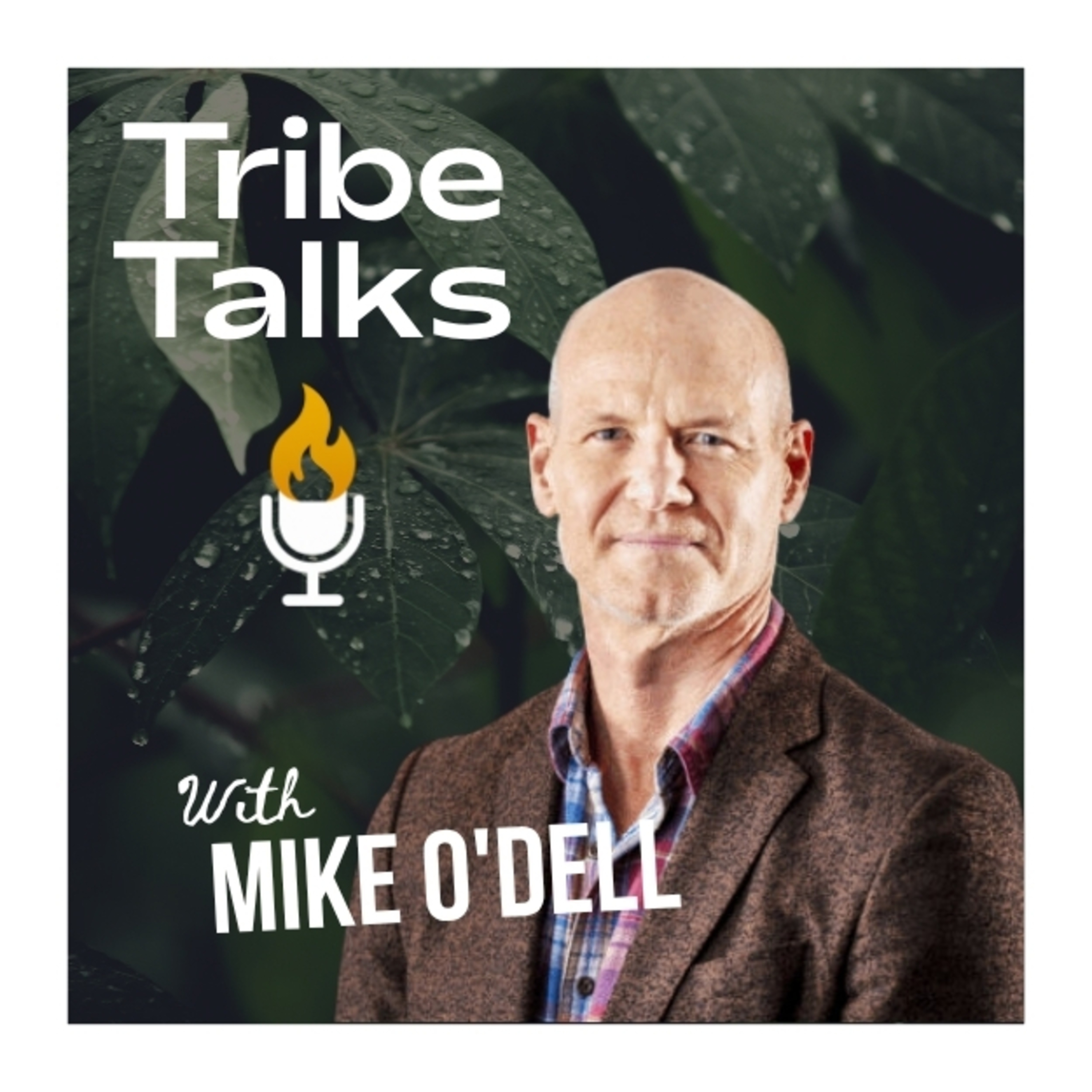 Tribe Talks: Building Teams That Thrive