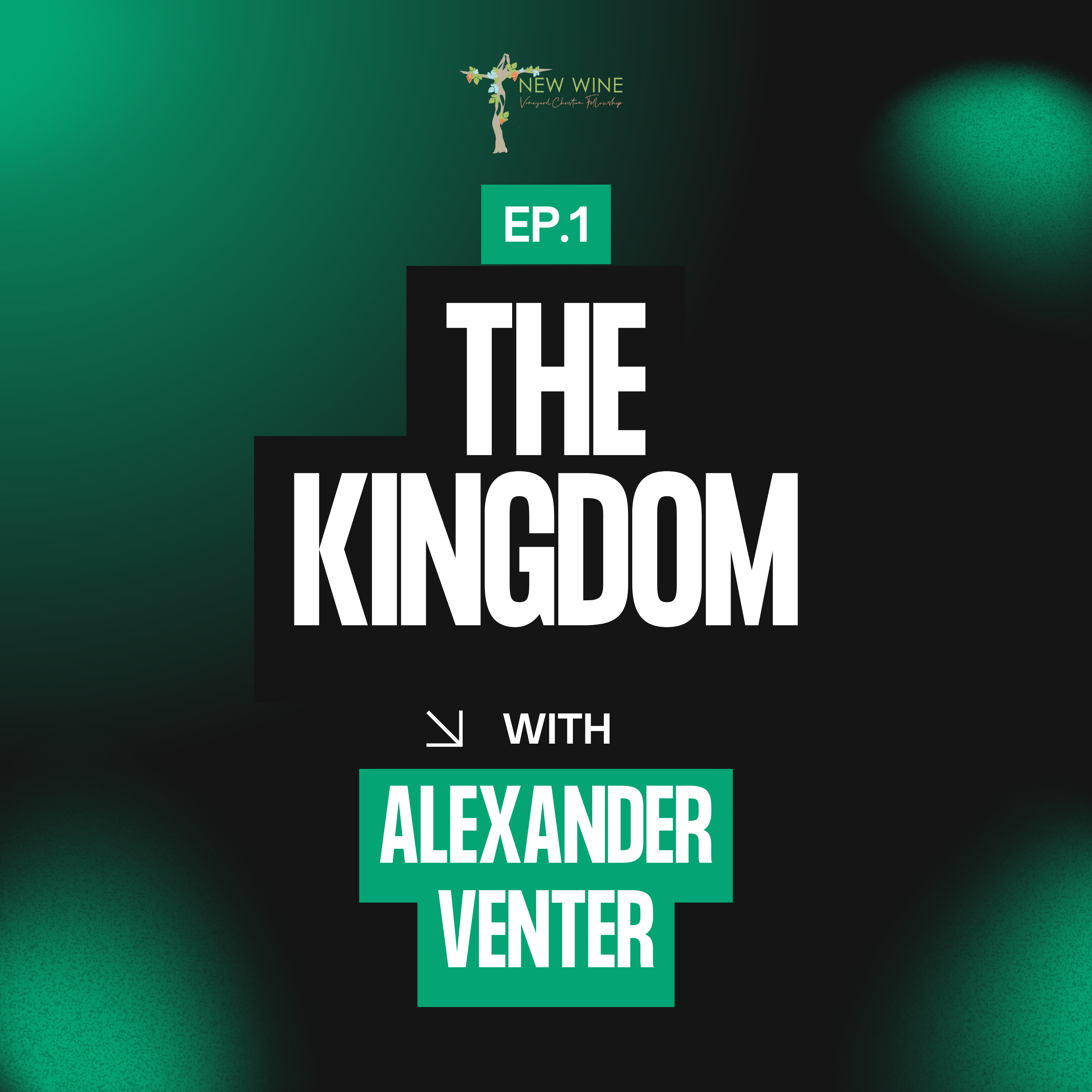 The Kingdom | Alexander Venter | EP1 episode artwork