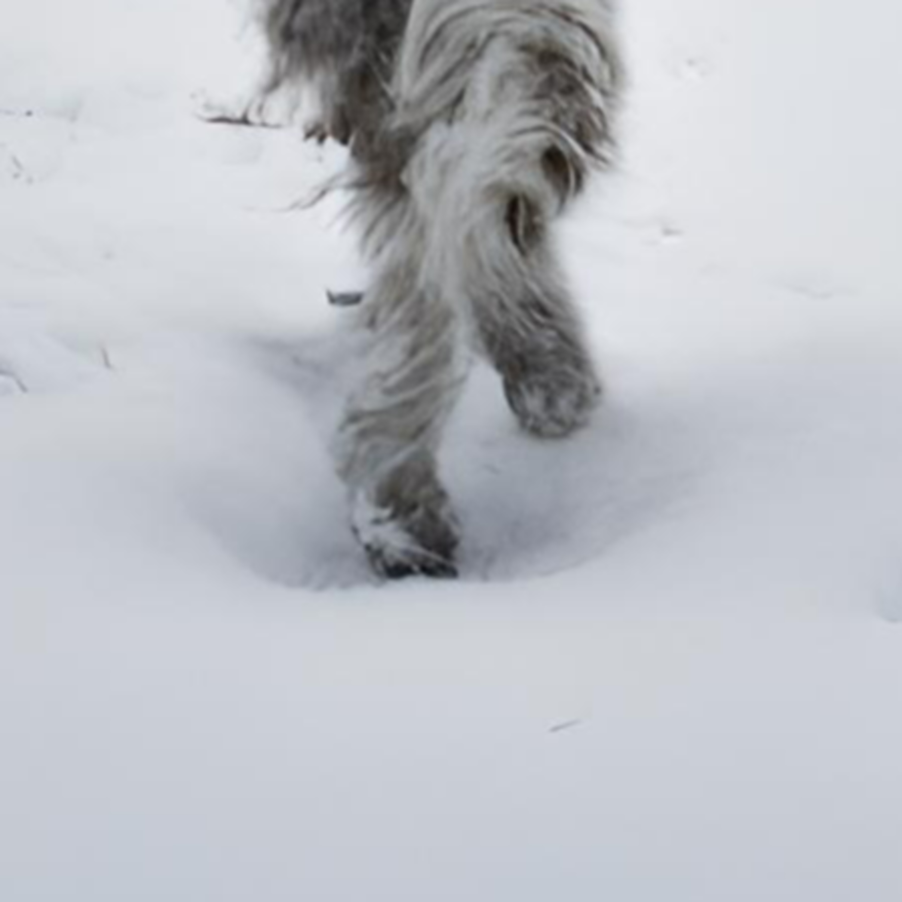 En quête de l’étrange