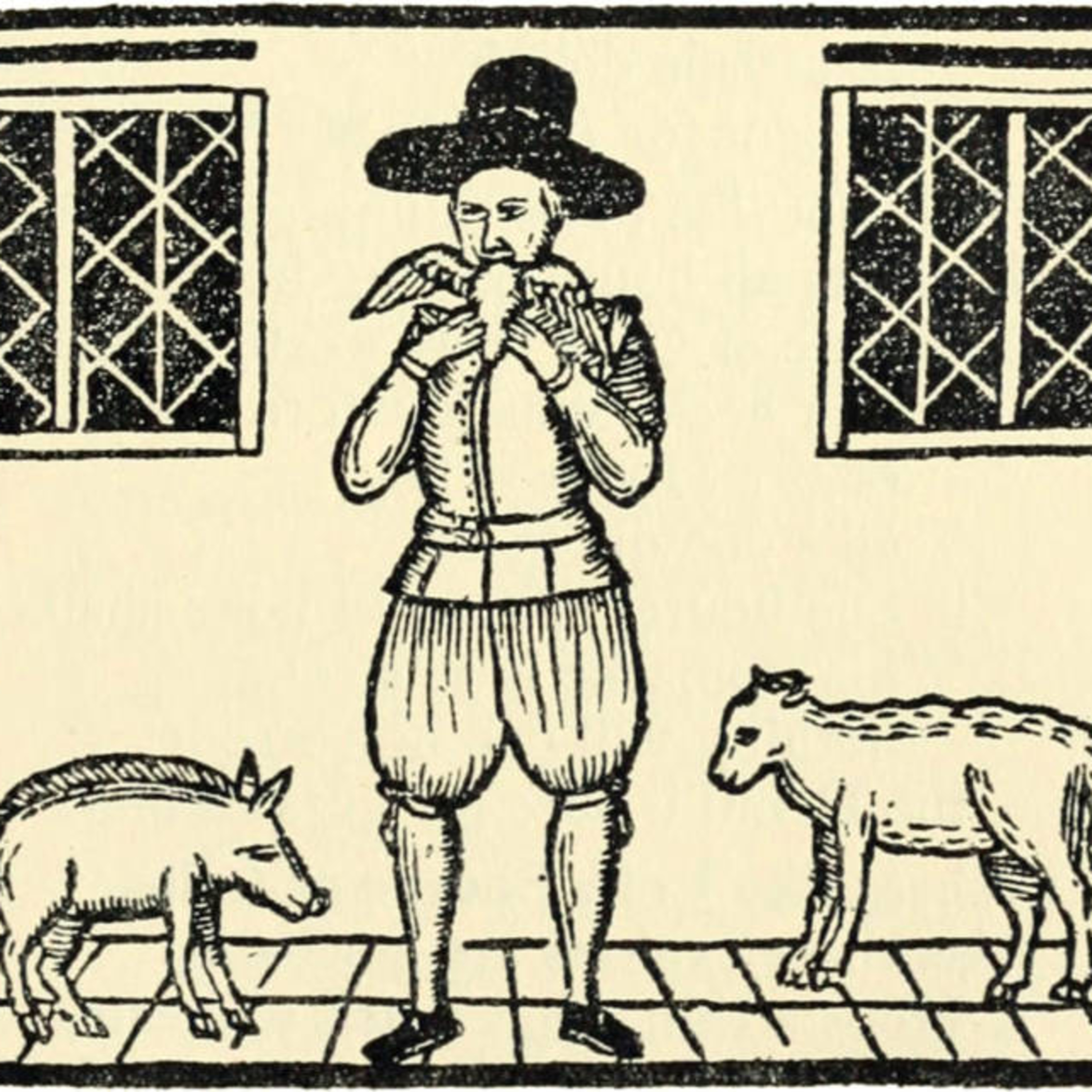 En quête de l’étrange