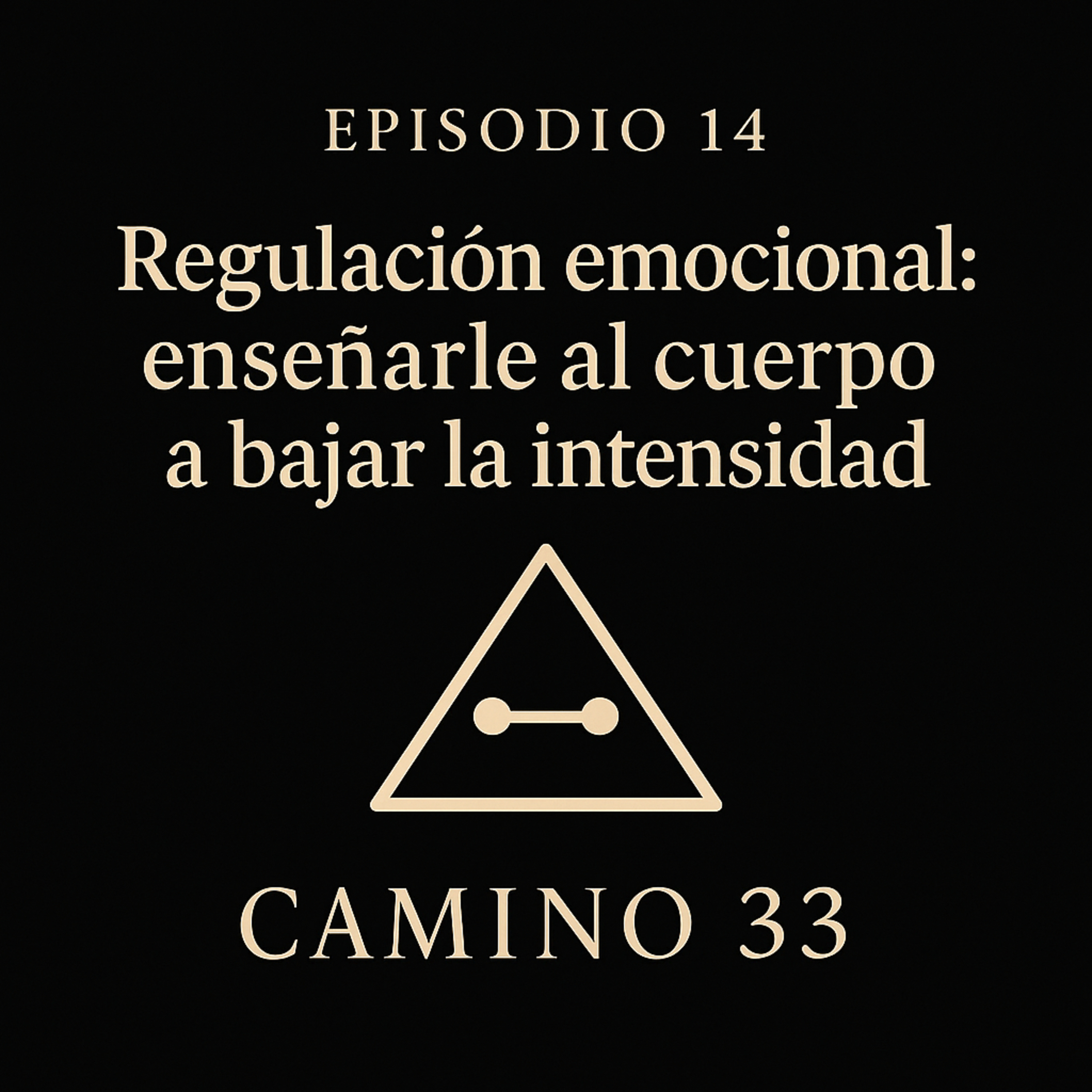 Episodio 14 - Regulación emocional: enseñarle al cuerpo a bajar la intensidad episode artwork