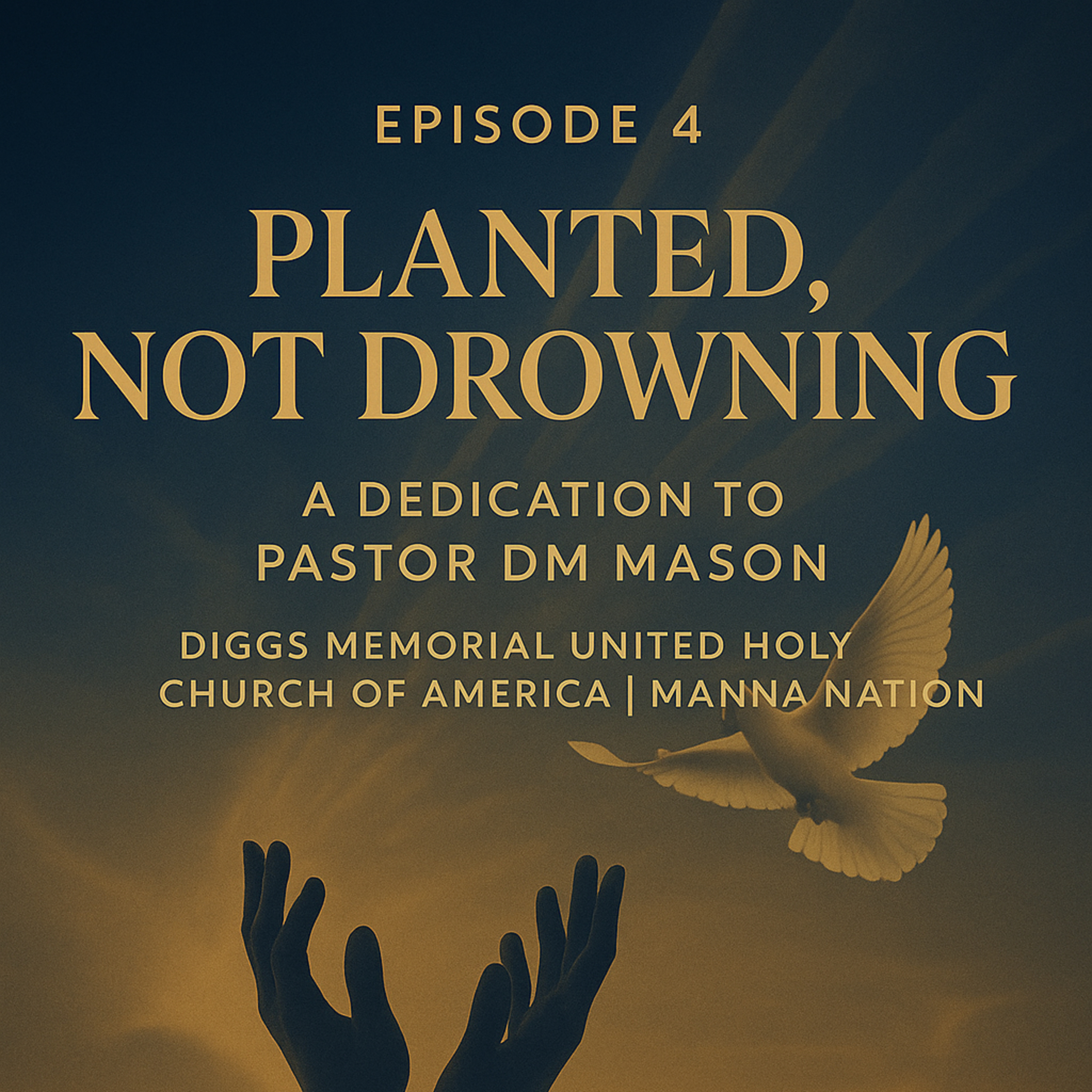 A Tribute to Pastor D.M. Mason 🎙️ Real Faith. Deep Healing. Divine Purpose. episode artwork