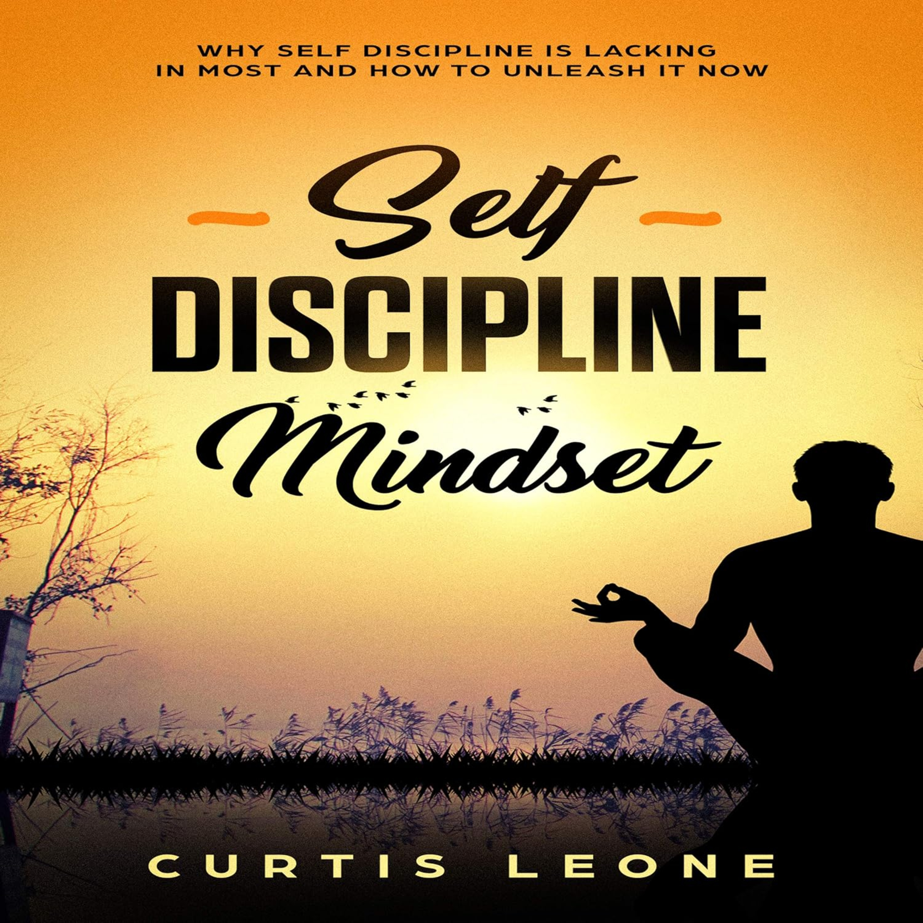 #068 - Self Discipline Mindset Why Self Discipline Is Lacking In Most And How To Unleash It Now (Curtis Leone) episode artwork