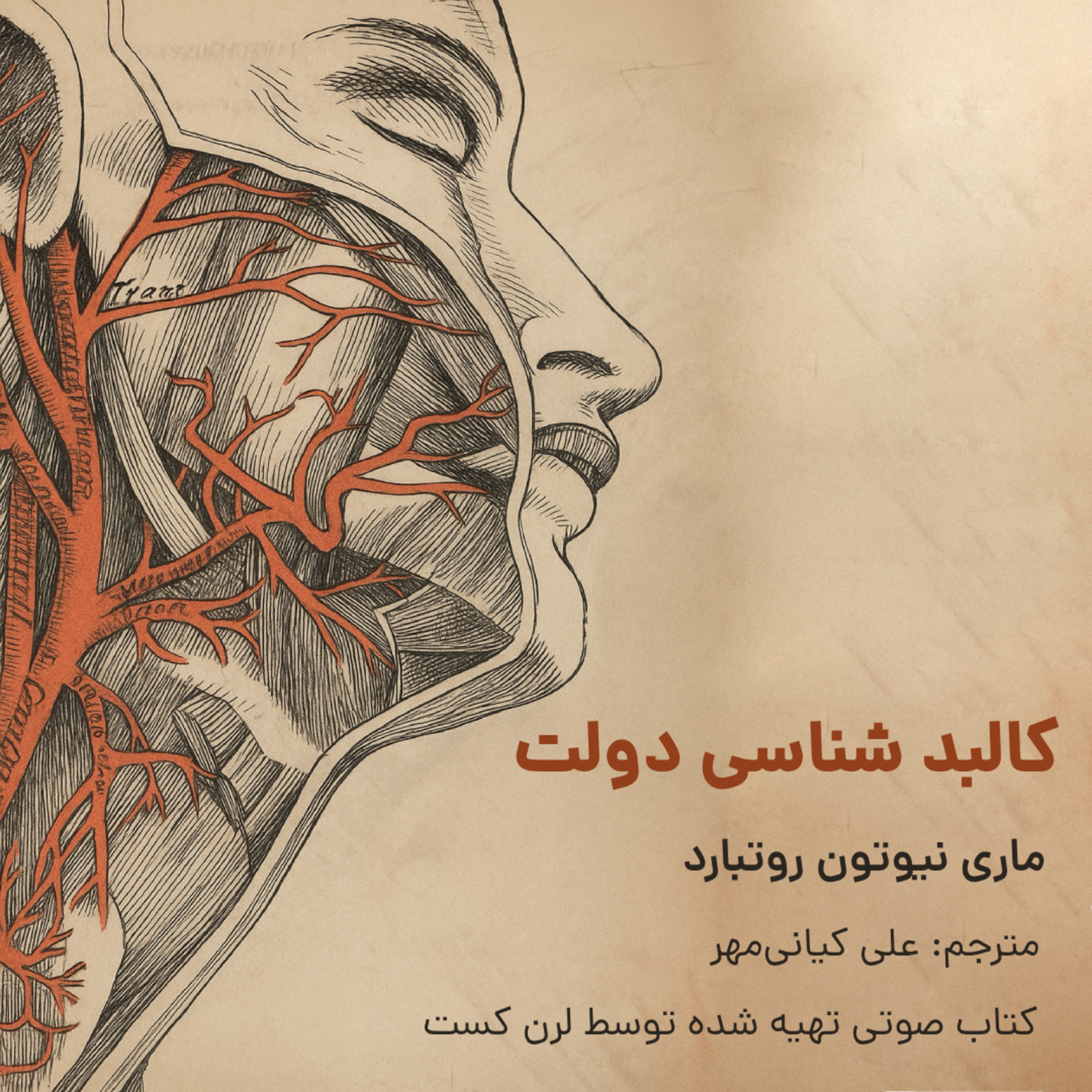 کاور کالبد شناسی دولت - نوشته ماری روتبارد