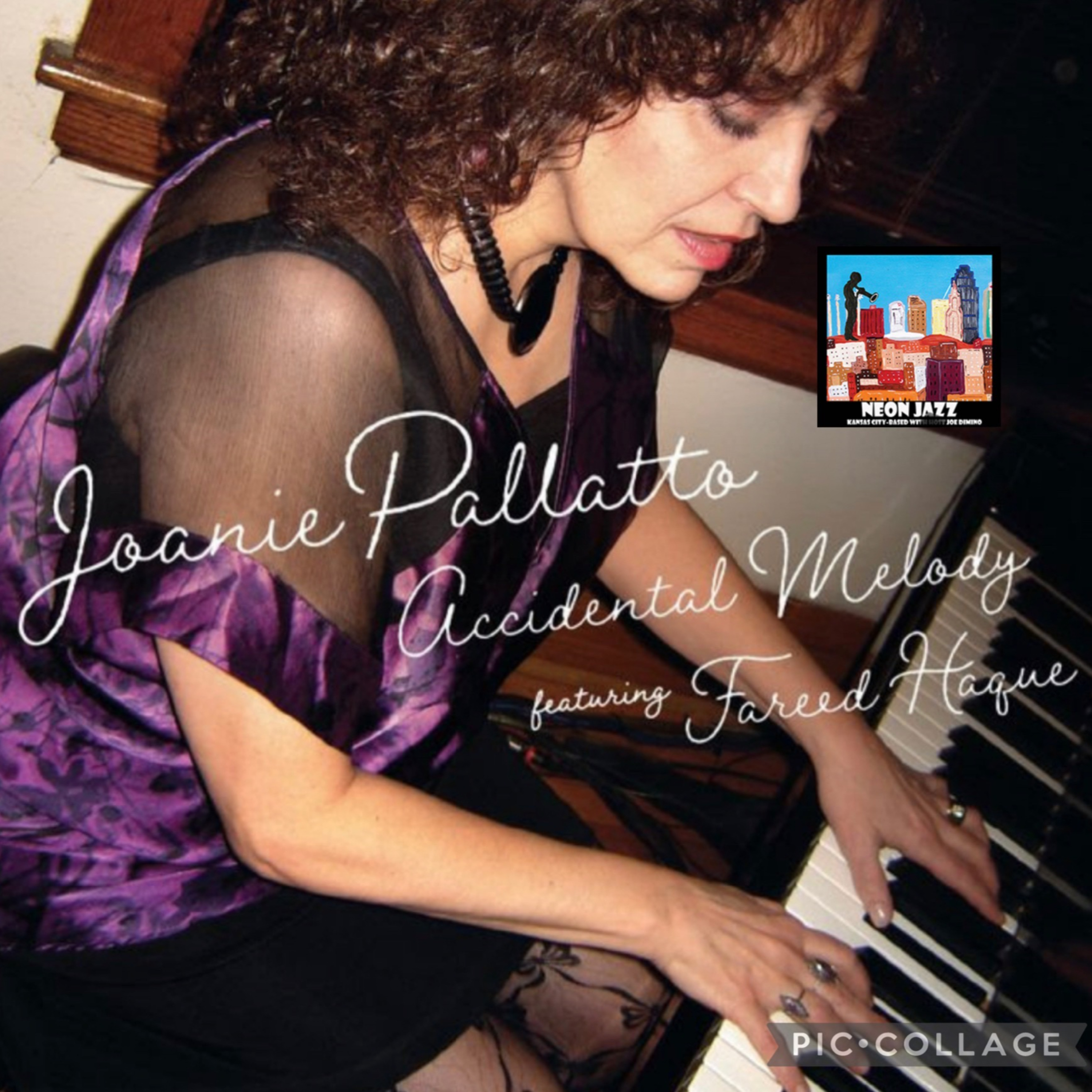 Chicago-based Singer/Songwriter Joanie Pallatto on the New 2023 Album Accidental Melody