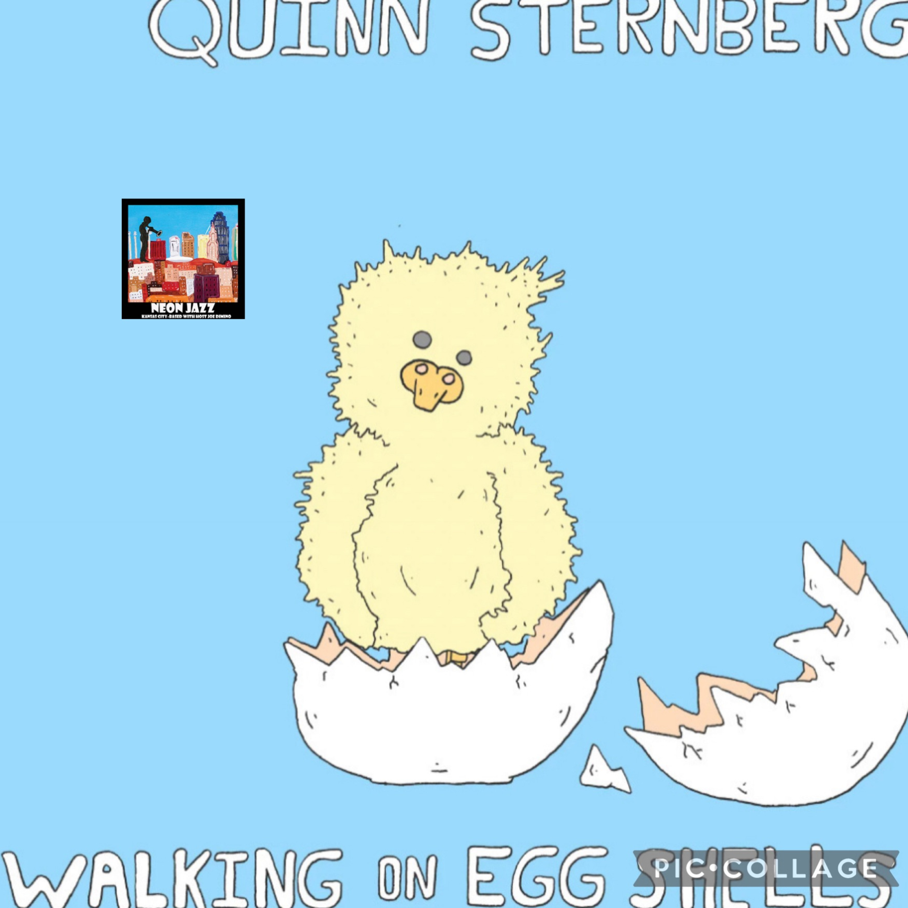 Jazz Bassist Quinn Sternberg on the 2023 CD Walking on Eggshells