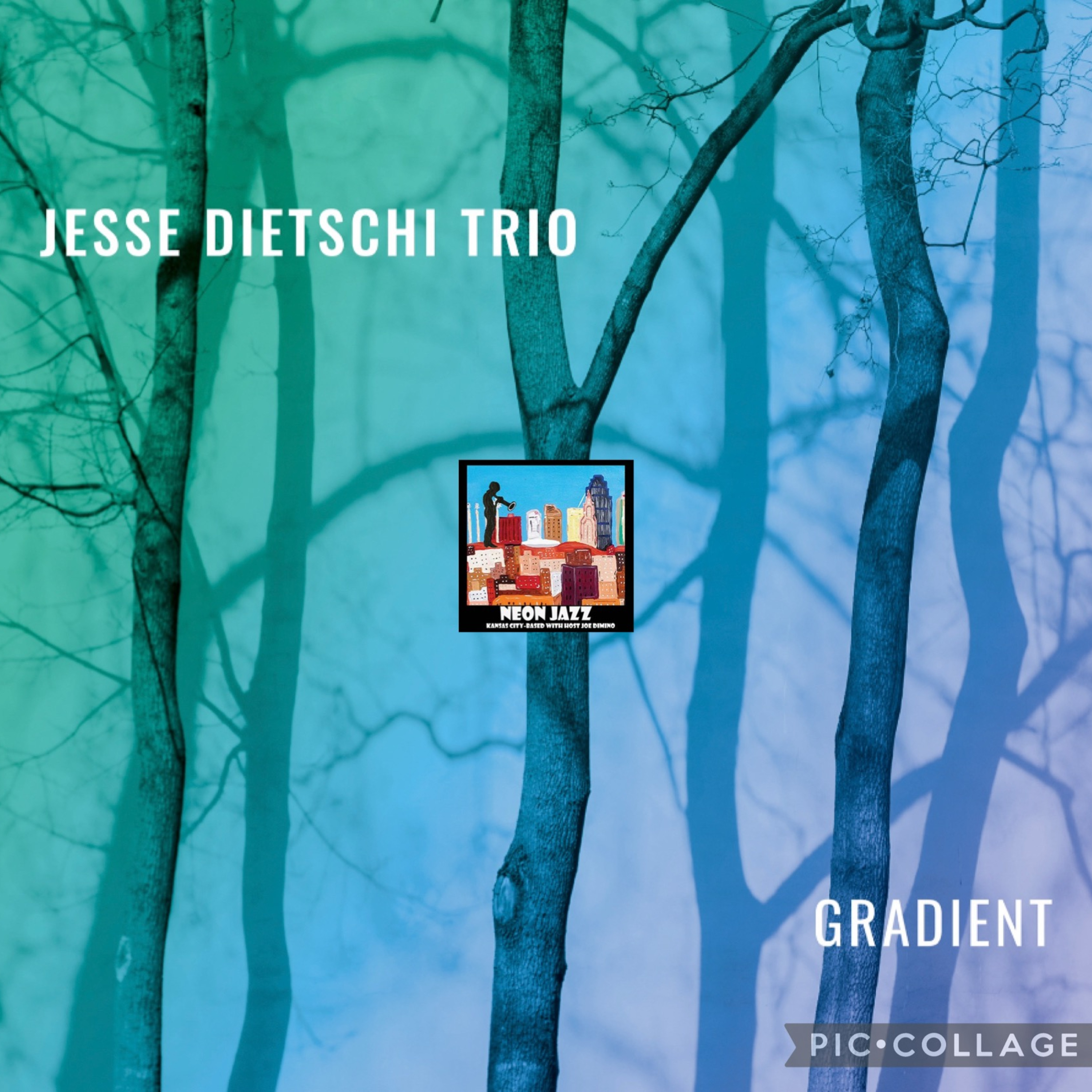 Canadian Jazz Leader, Composer & Bassist Jesse Dietschi