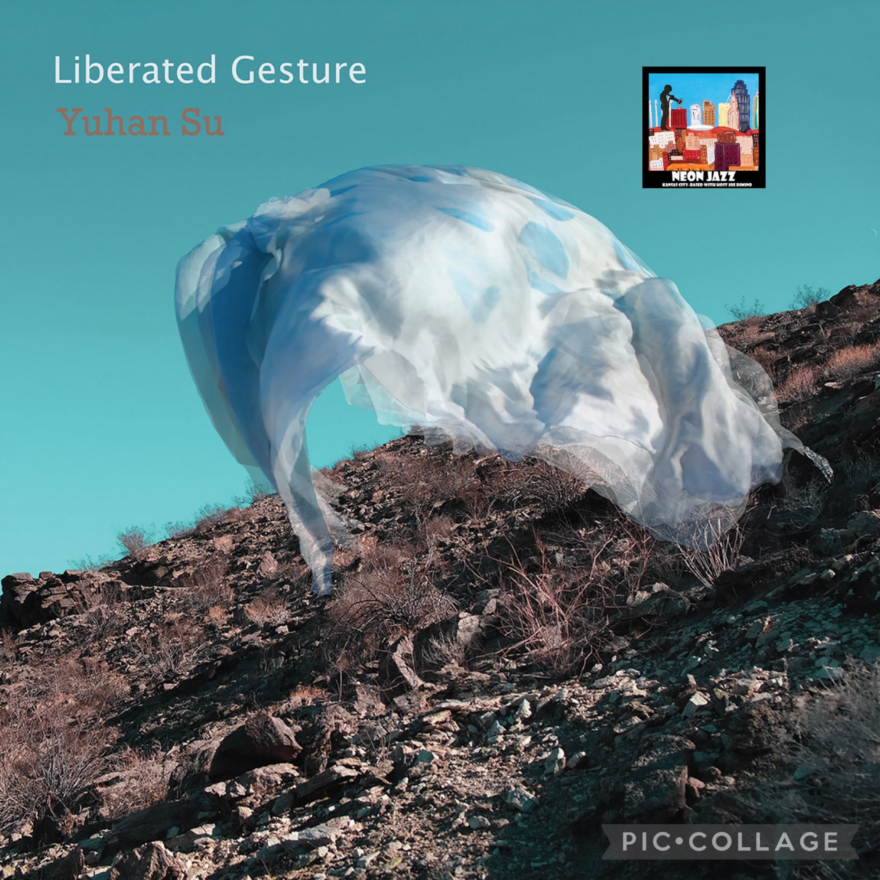 New York-based Jazz Vibraphonist Yuhan Su on the 2023 CD Liberated Gesture
