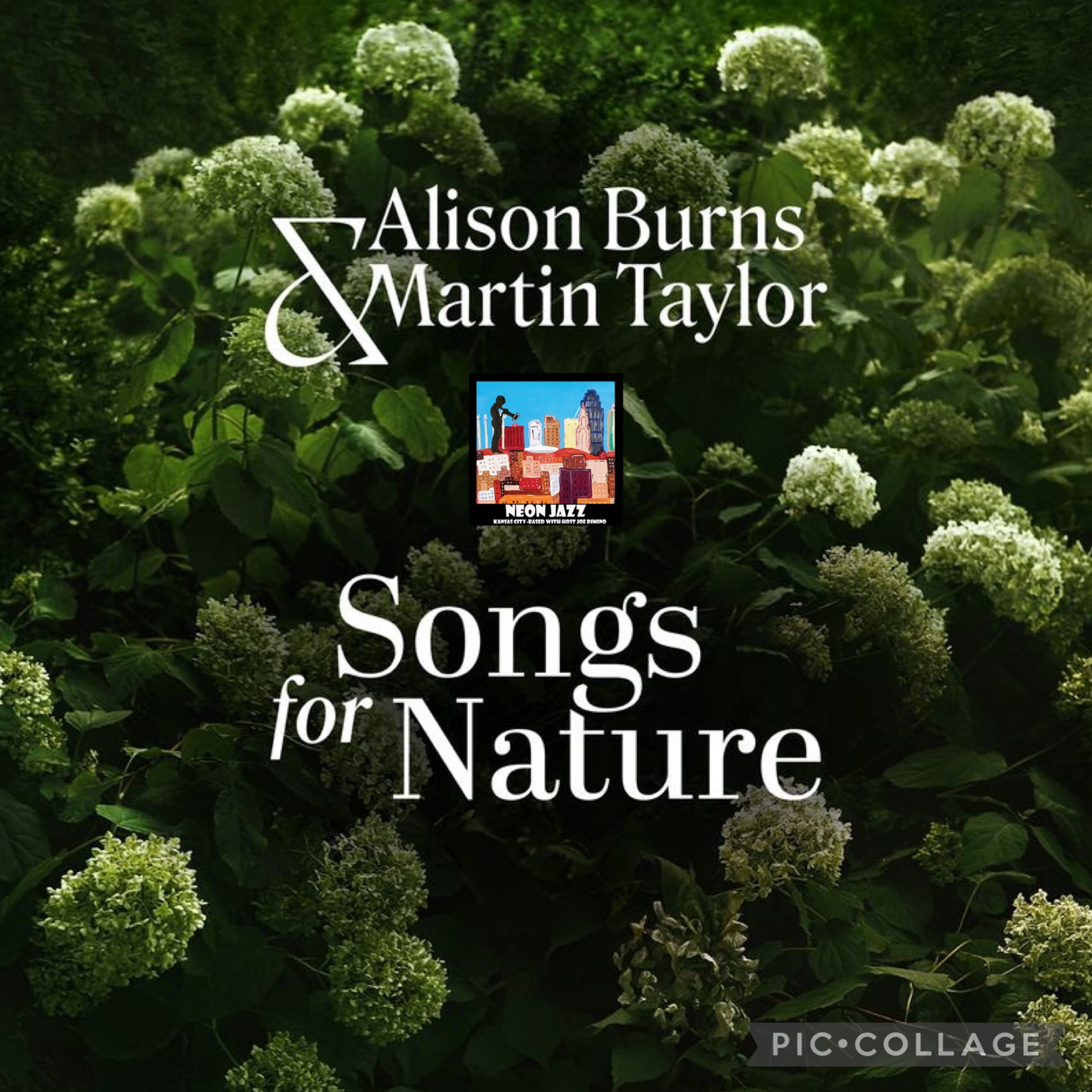 Scottish-Canadian Jazz Singer Alison Burns and British Guitarist Martin Taylor