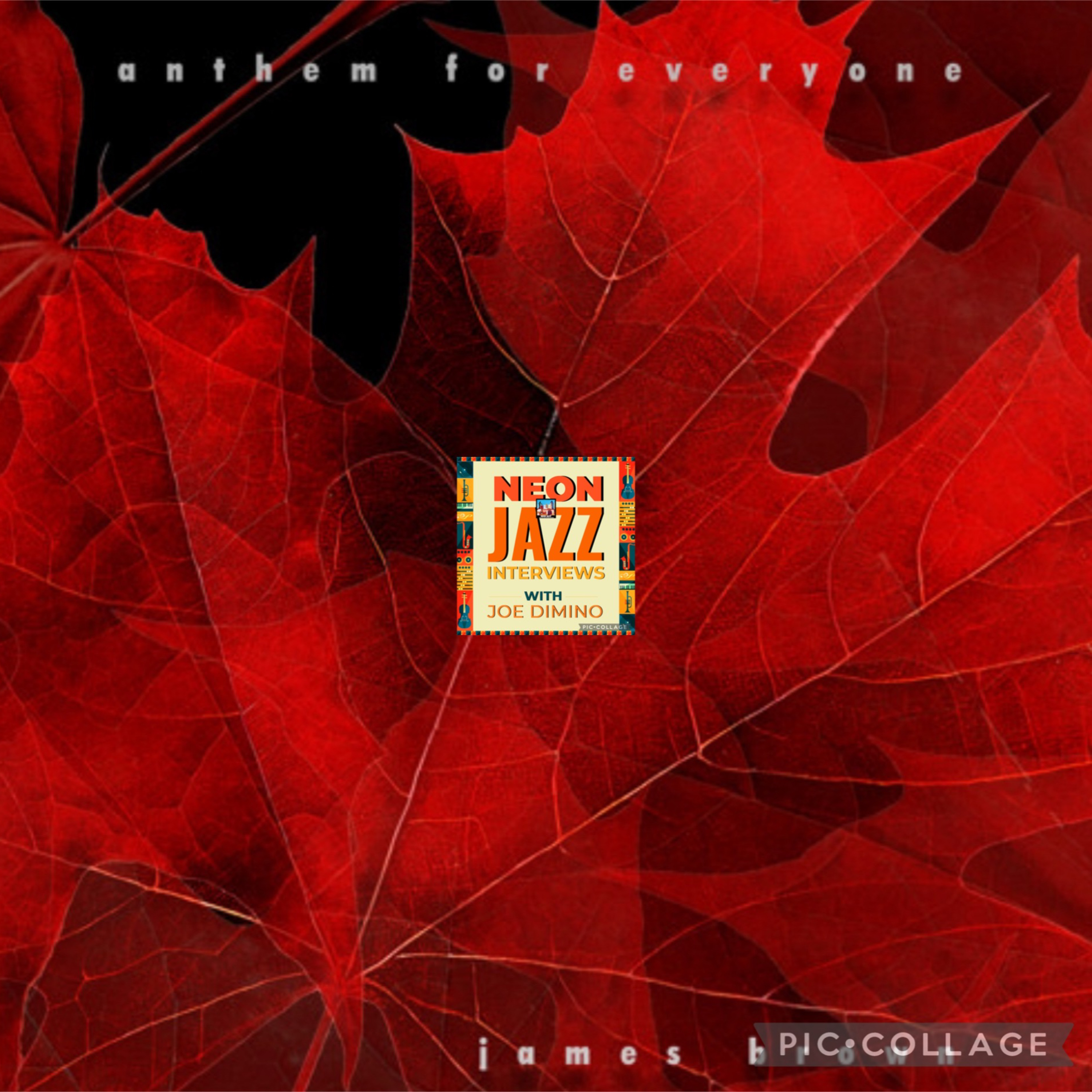 Toronto Jazz Guitarist & Composer James Brown | New 2025 Album Anthem for Everyone