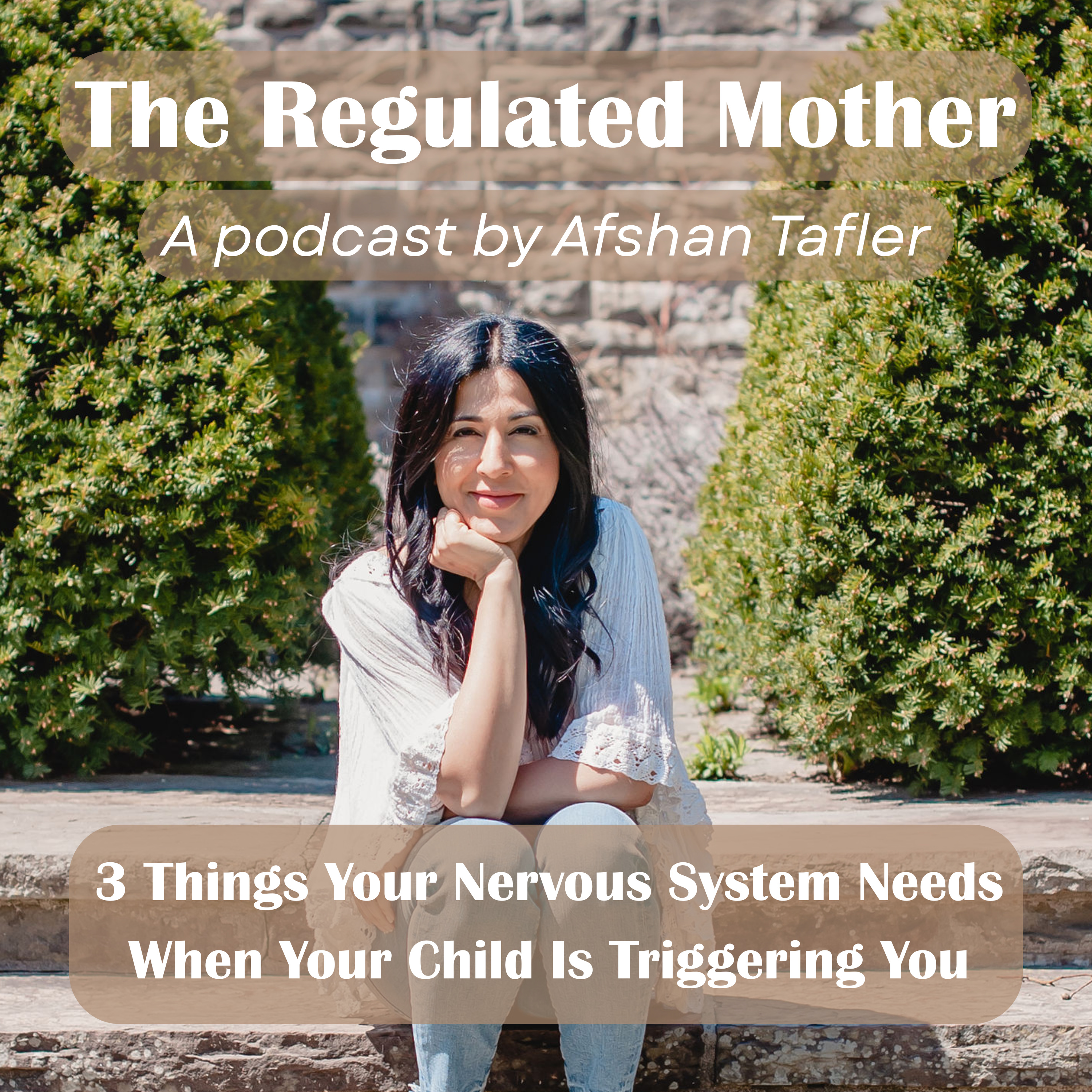 Ep.6 3 Things Your Nervous System Needs When Your Child Is Triggering You