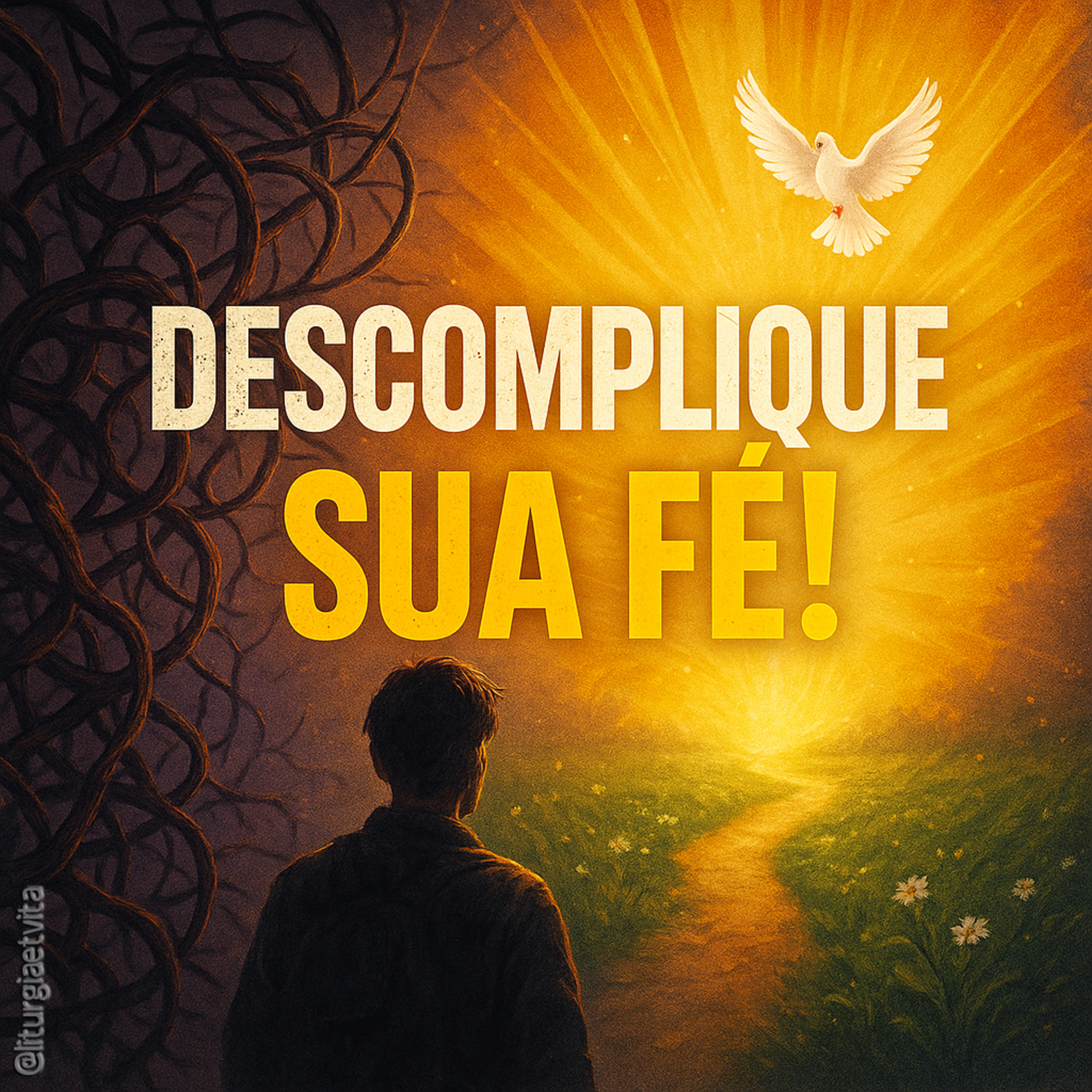 FÉ E SIMPLICIDADE: 🎙️ A Escolha e a Confiança que Moldam o Coração! episode artwork