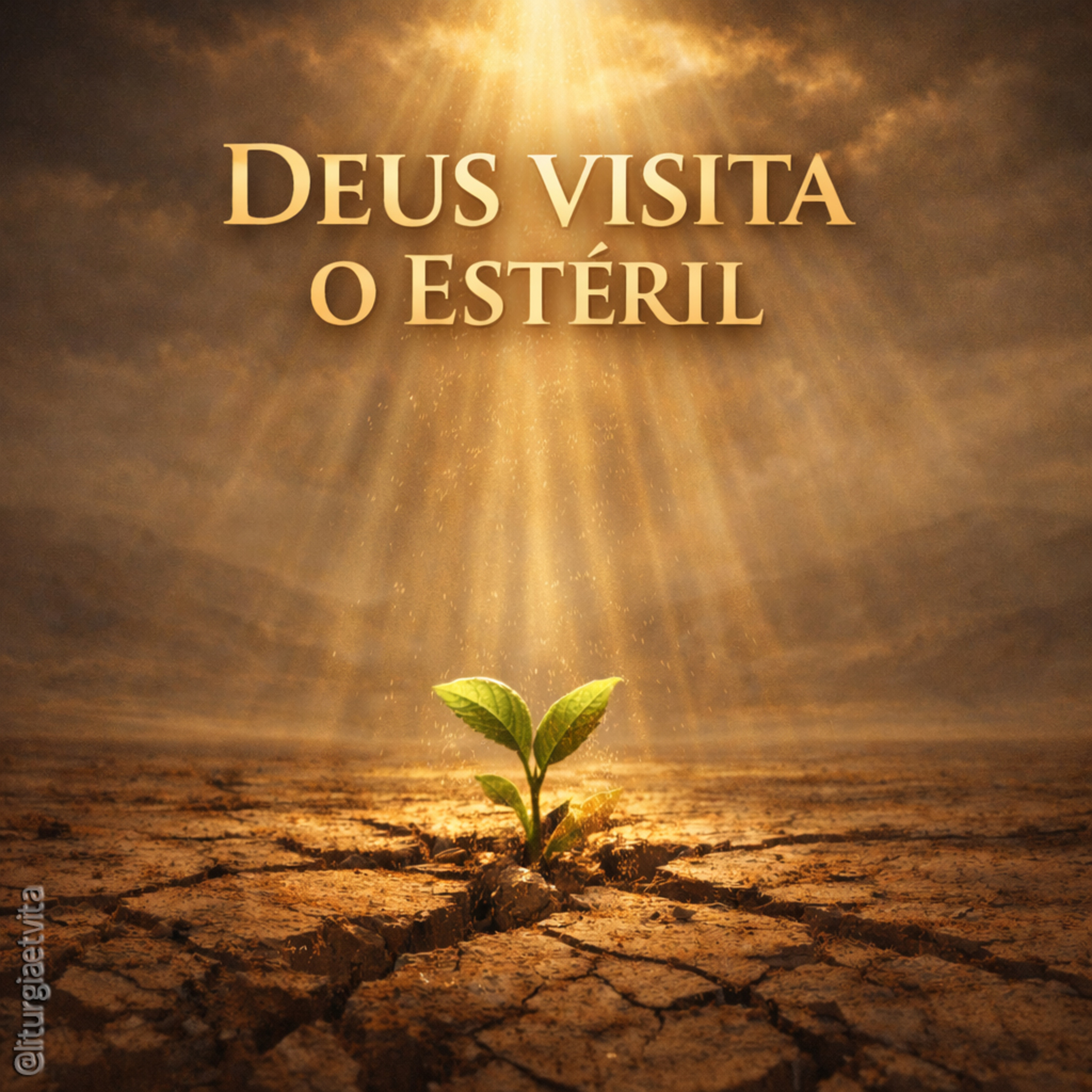 DEUS VISITA O QUE EM NÓS É ESTÉRIL | E faz a vida brotar onde parecia impossível episode artwork