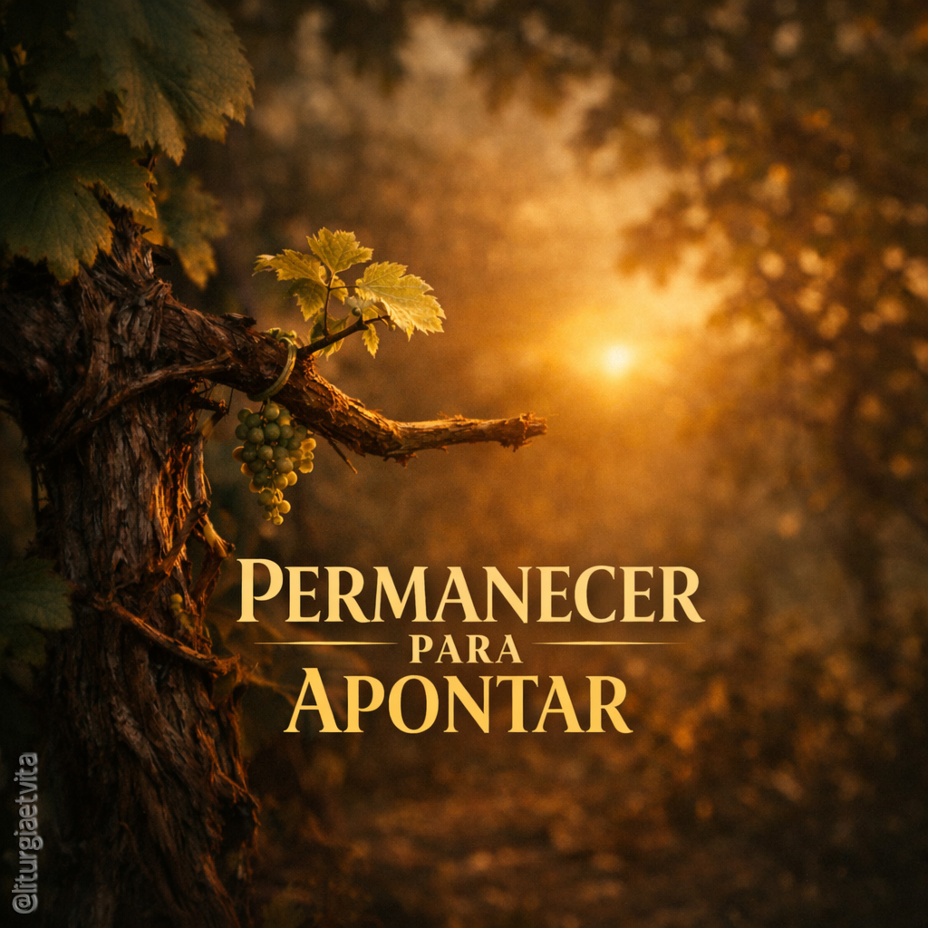 PERMANECER EM CRISTO | O Segredo Do Testemunho Verdadeiro episode artwork