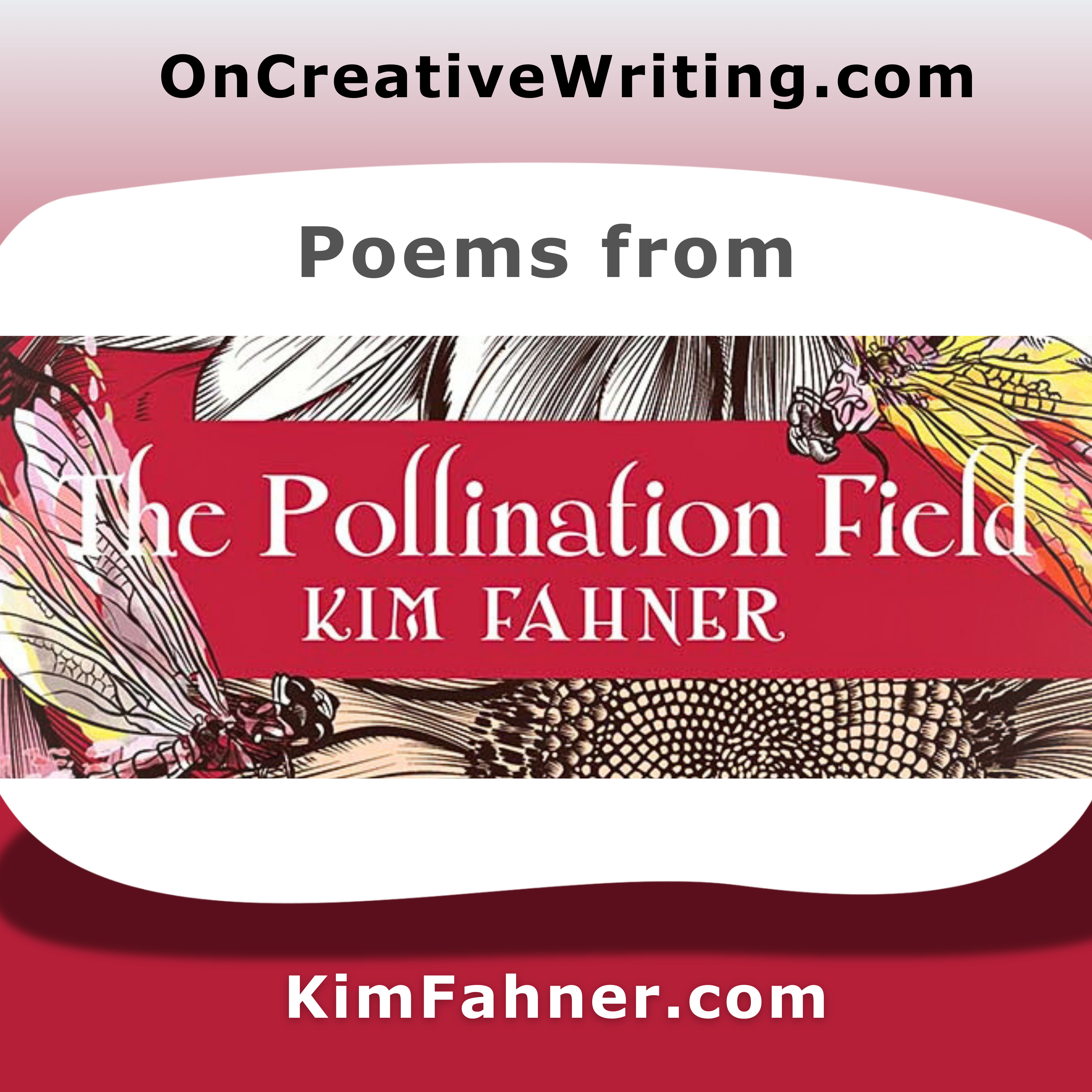 Kim Fahner: Poetry inspired by pollinators, reflections on the environment, and more episode artwork