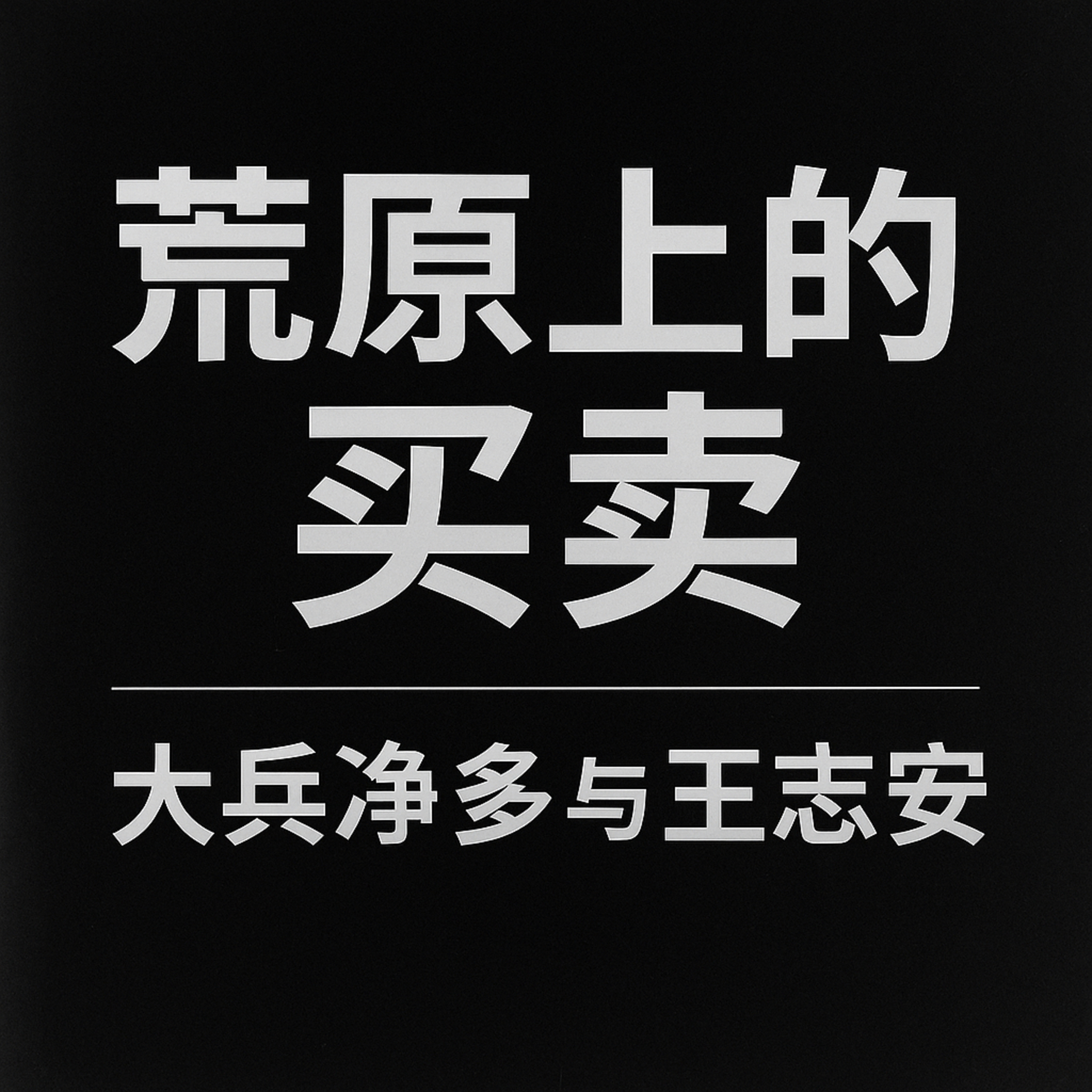 荒原上的买卖：大兵净多与王志安 episode artwork