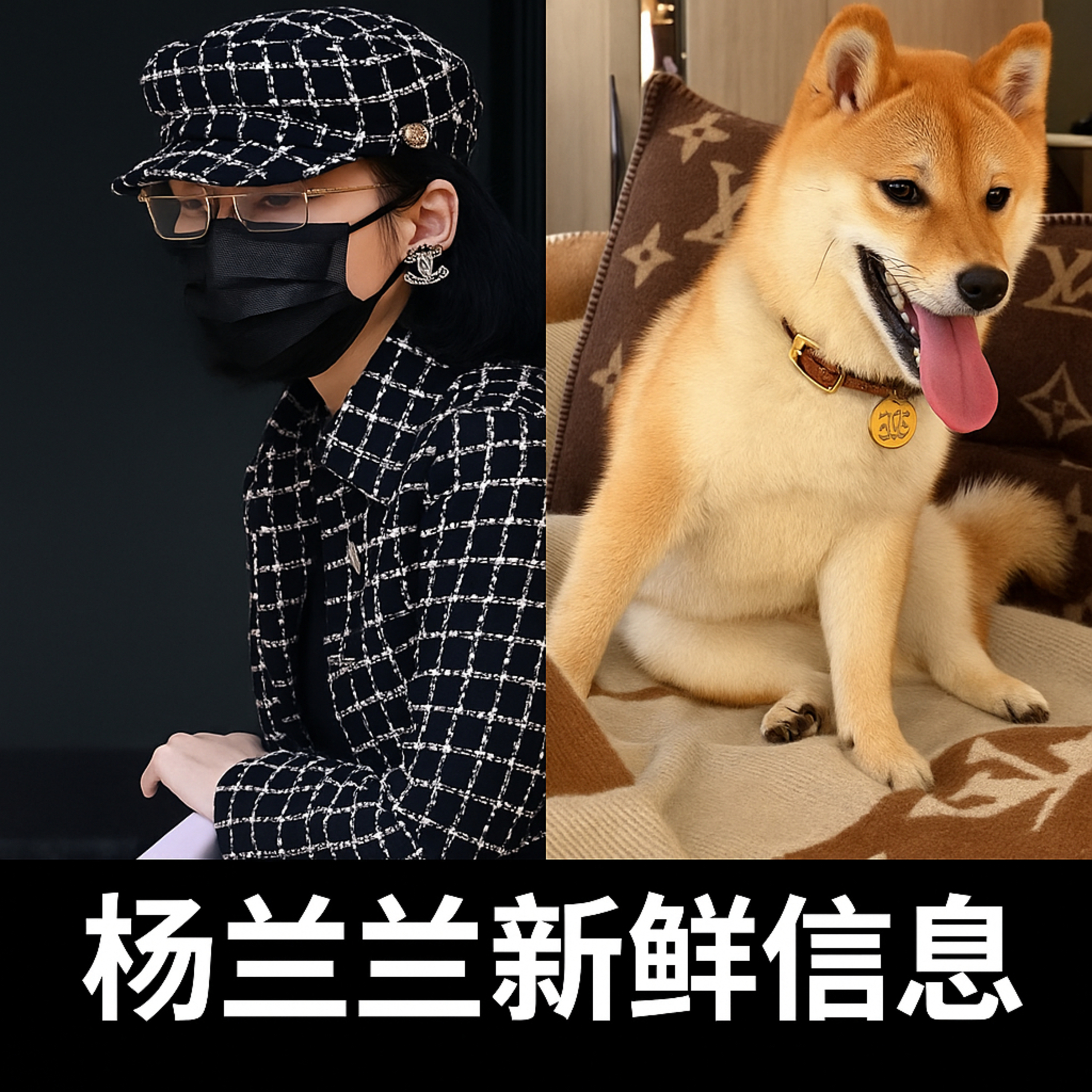 杨兰兰新鲜信息 episode artwork