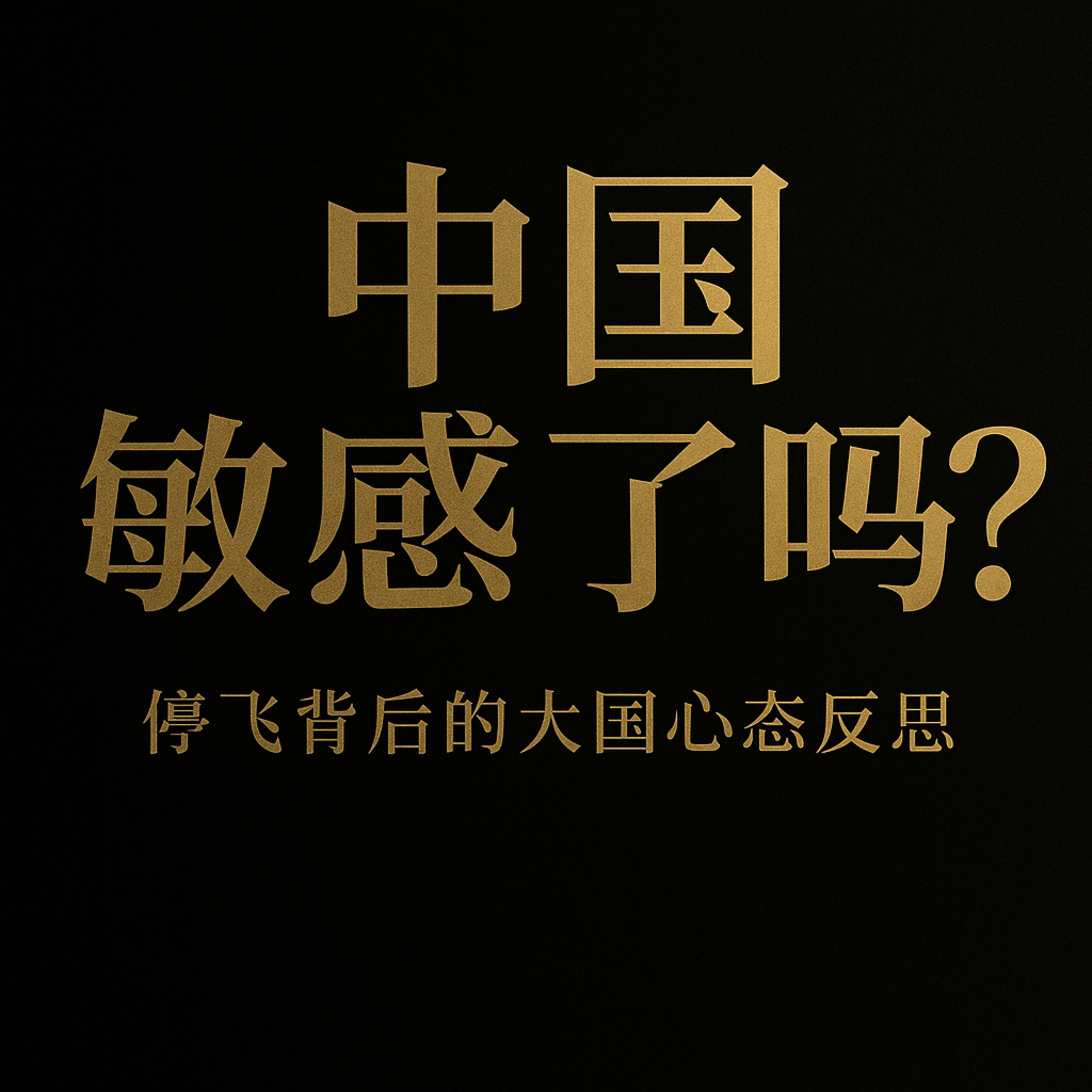 停飞 警告与“过敏”：2025 中国外交需要解开“风纪扣”吗？ episode artwork