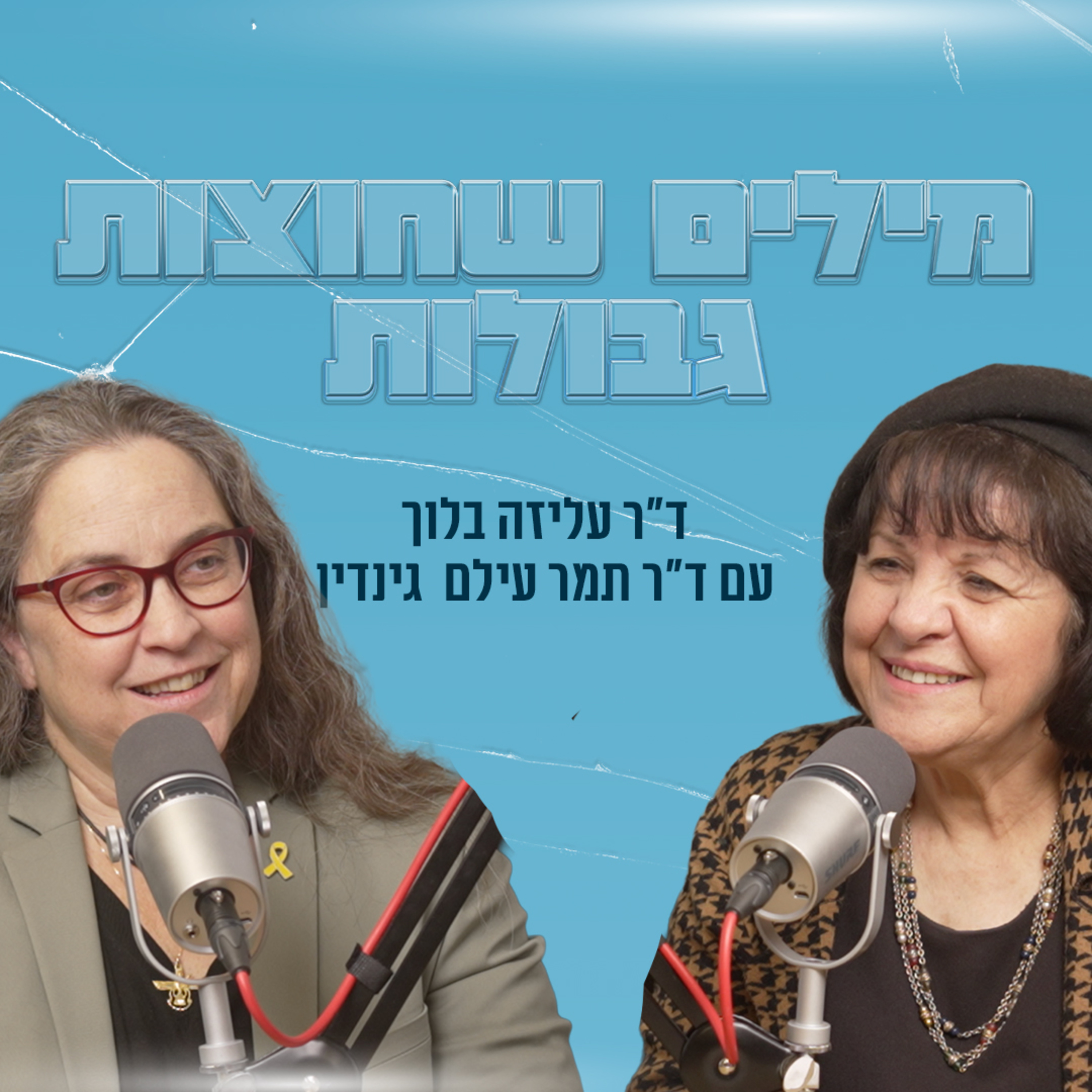 מילים שחוצות גבולות | תקרה וזכוכית עם ד״ר תמר עילם גינדין episode artwork