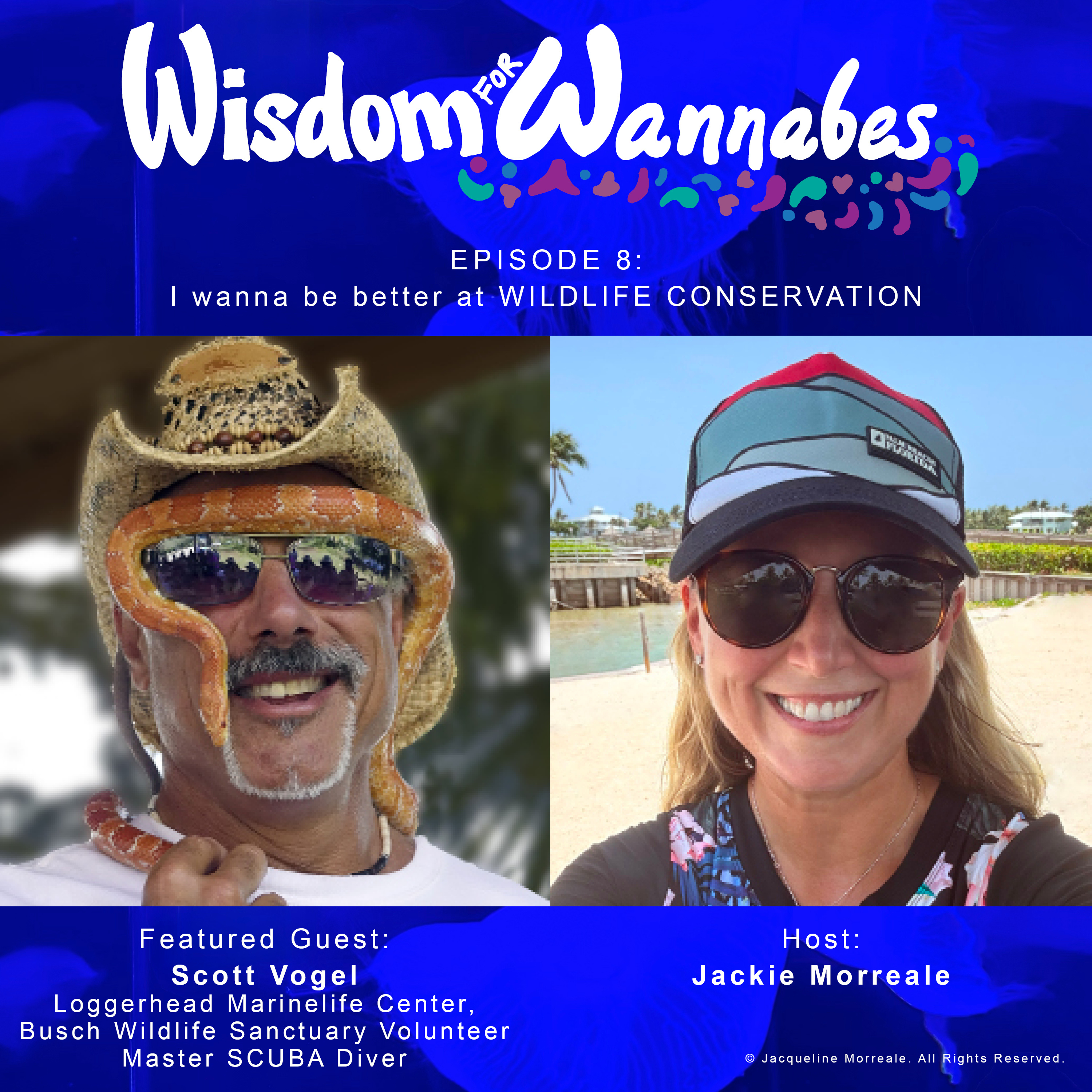 Wisdom for Wannabes