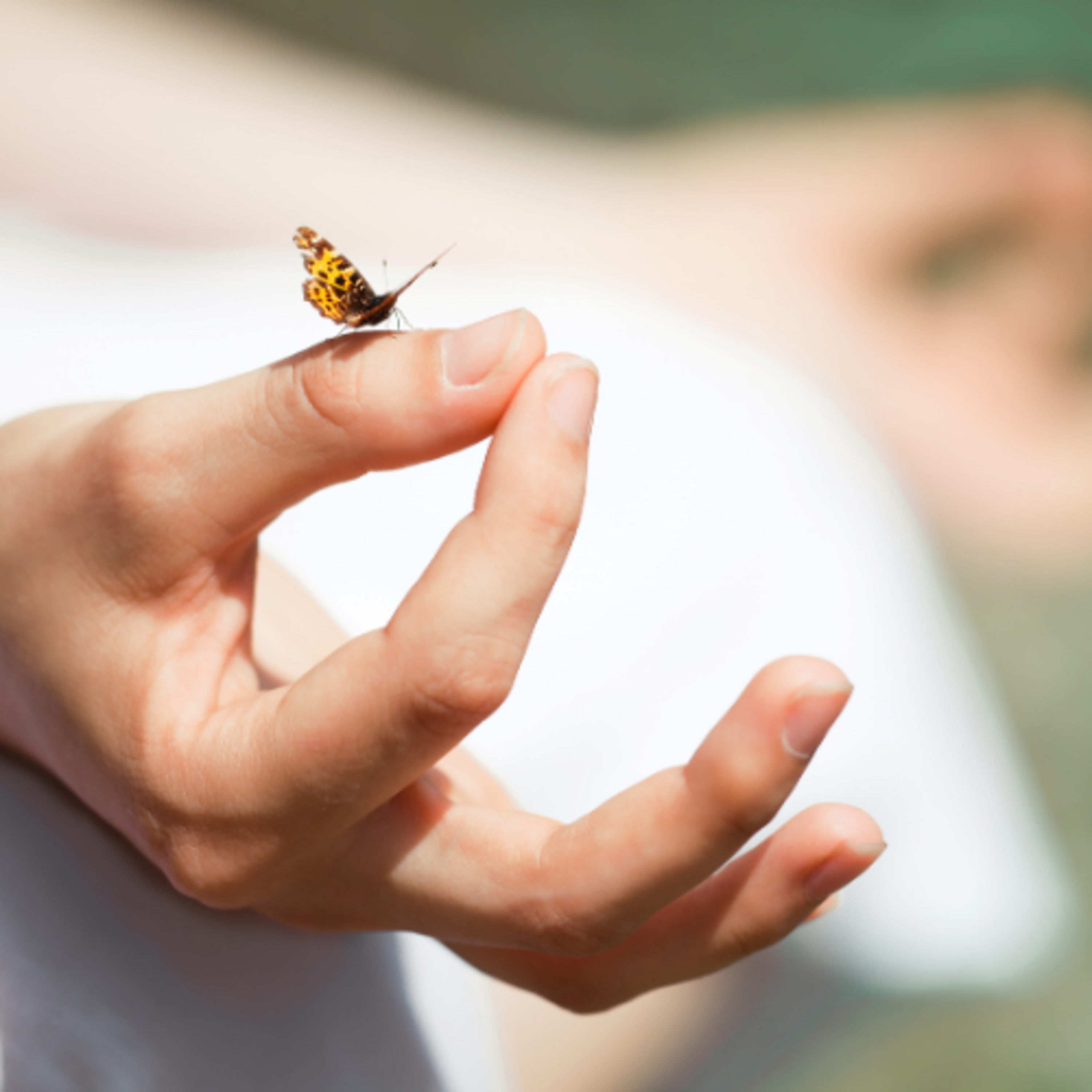 10-Minute Somatic Meditation | Calm Anxiety & Regulate Your Nervous System episode artwork