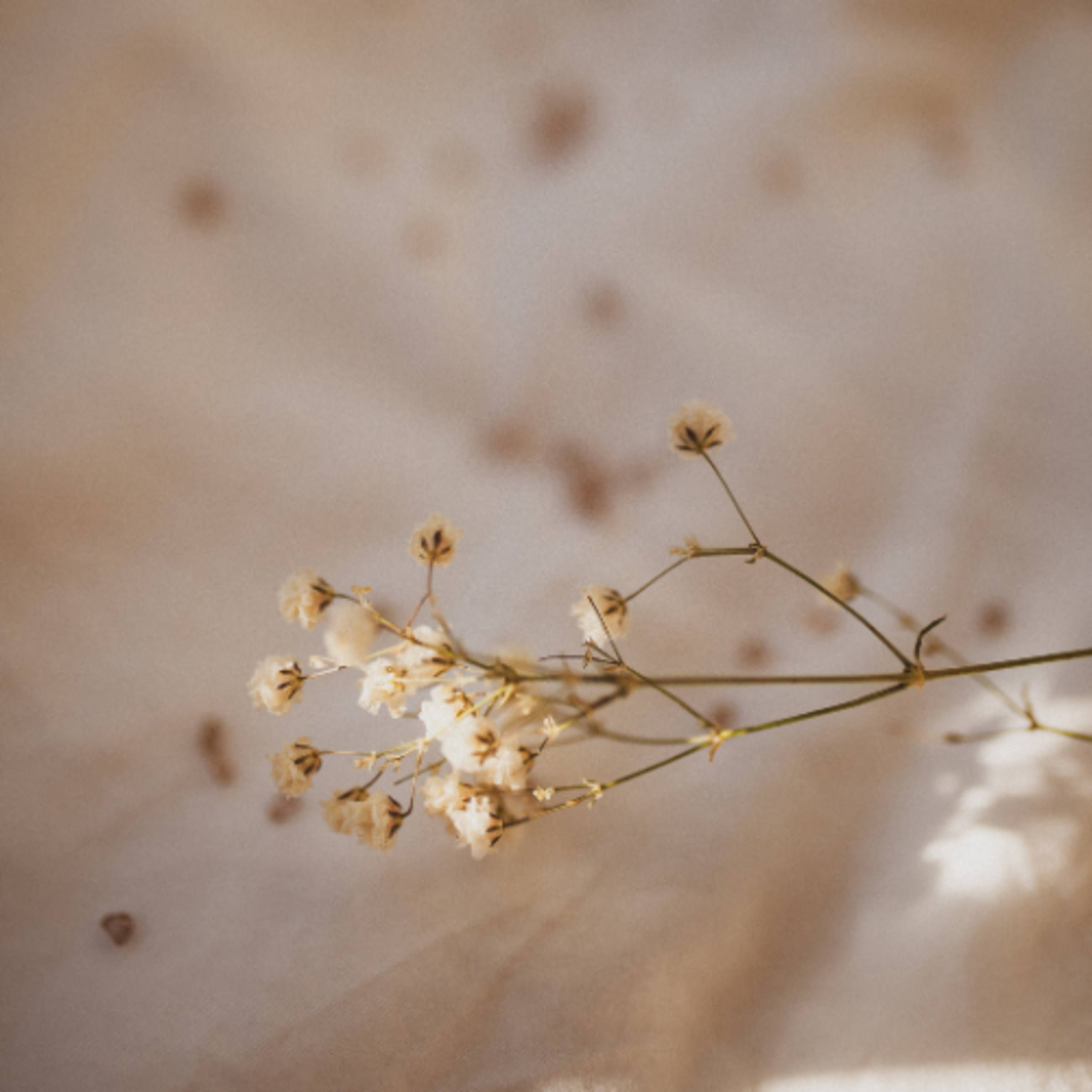 IHF - What Are Glimmers? | Small Moments of Safety & Connection