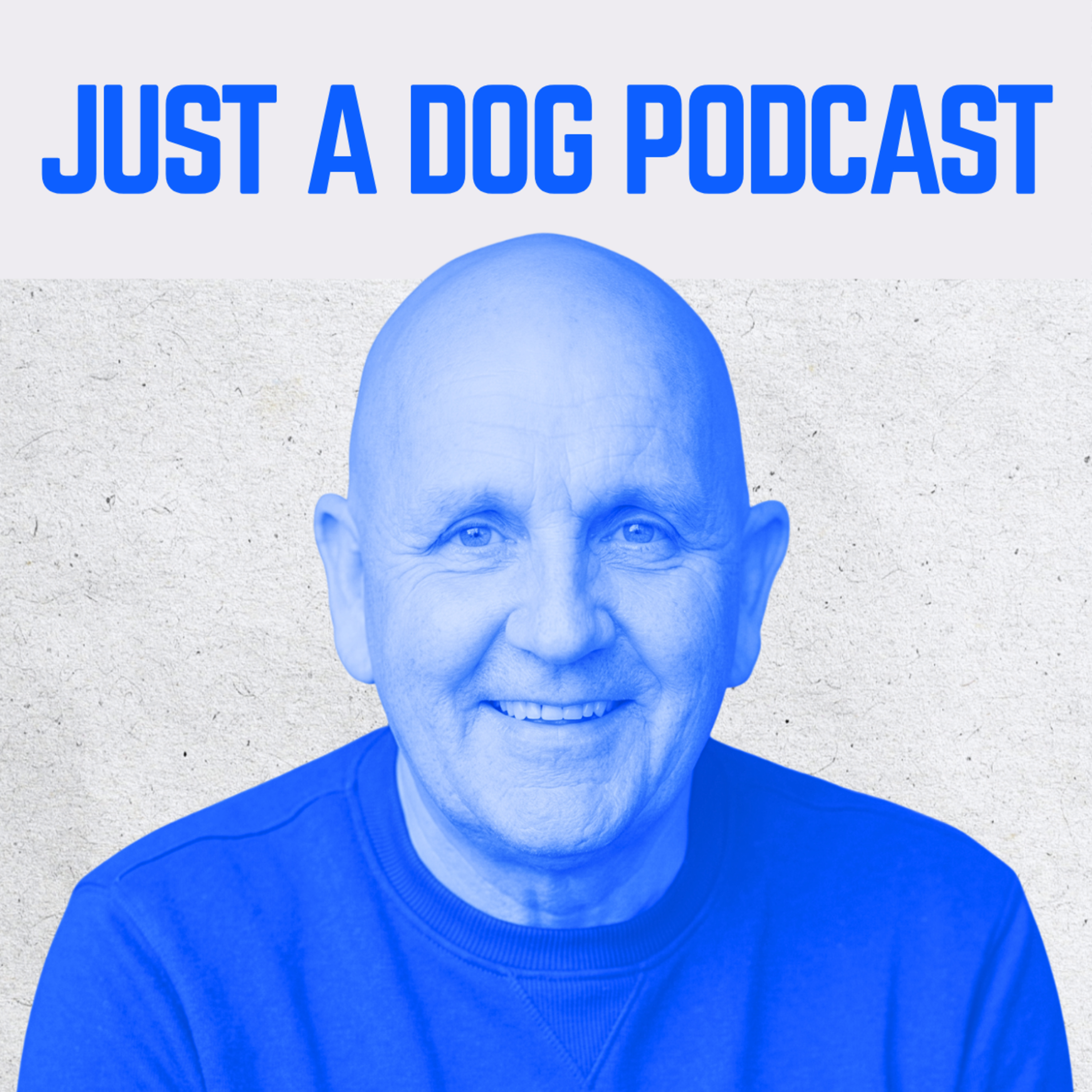 Dog whelping UK | Inside the unregulated world of dog whelping and canine fertility clinics | Part 1