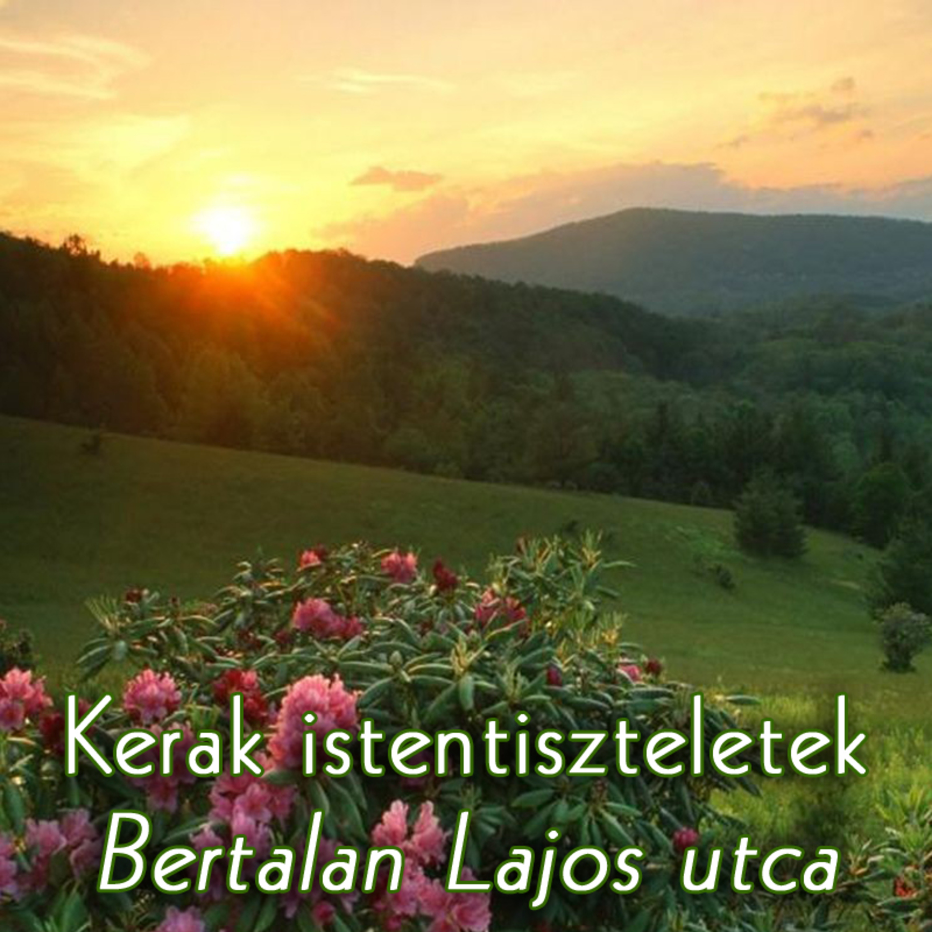 A boldogság megtalálása (Zsolt.34:9) • Buda Júlia • 2025.01.25. episode artwork