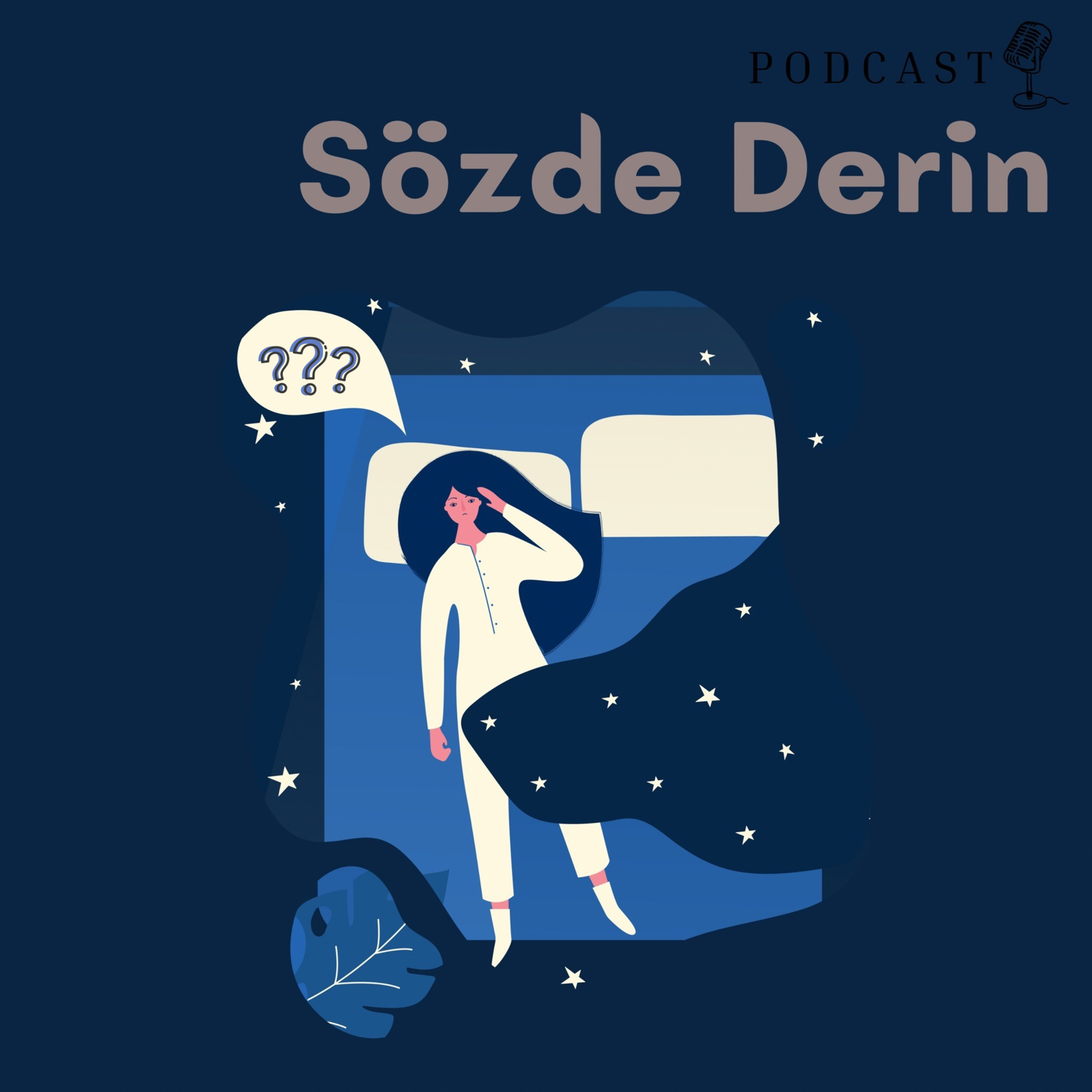Göründüğü gibi değil episode artwork