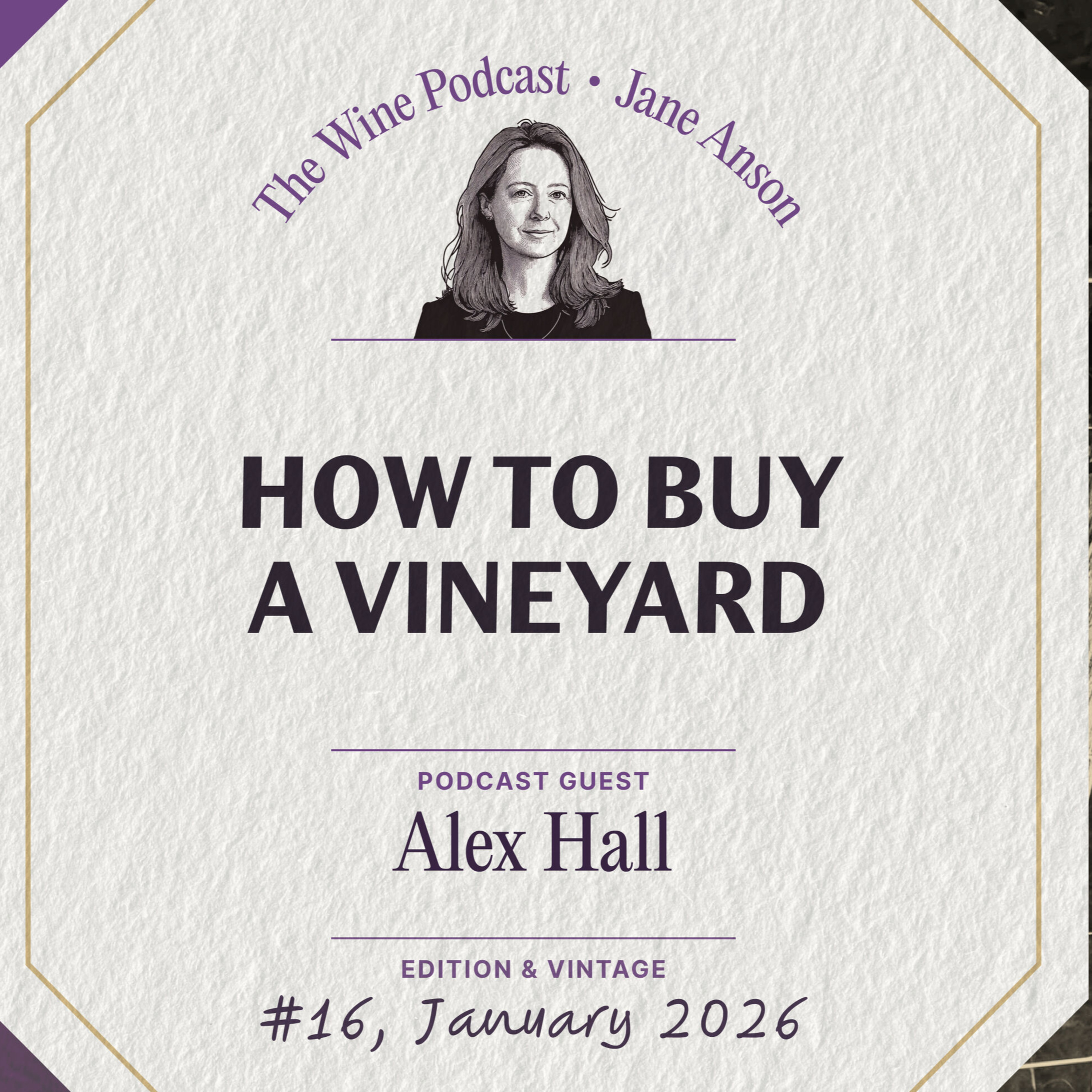 How to Buy a Vineyard – Jane Anson The Wine Podcast E 16