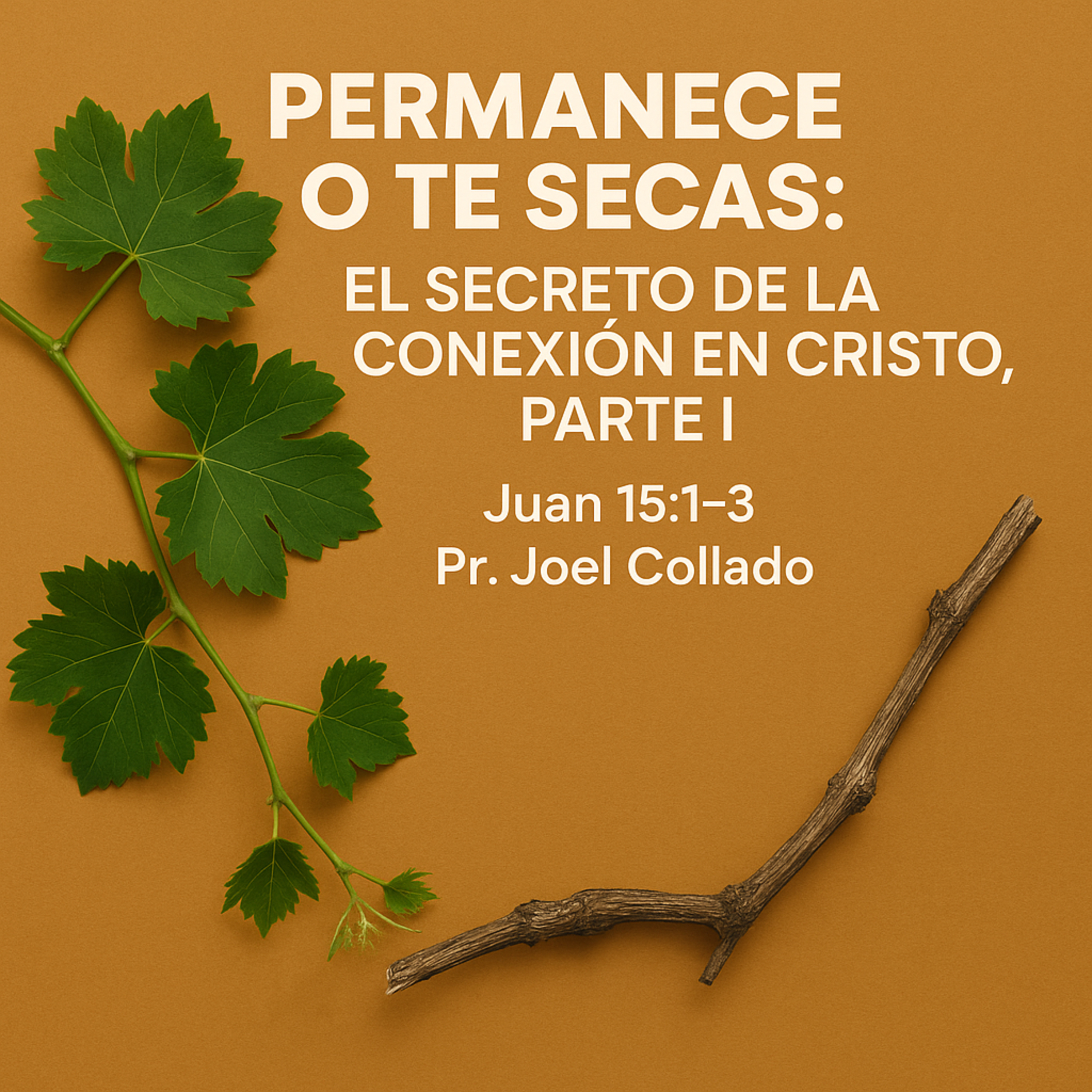 Permanece o te seca: El secreto de la conexión en Cristo, parte I | Juan 15:1-3 | Pr. Joel Collado