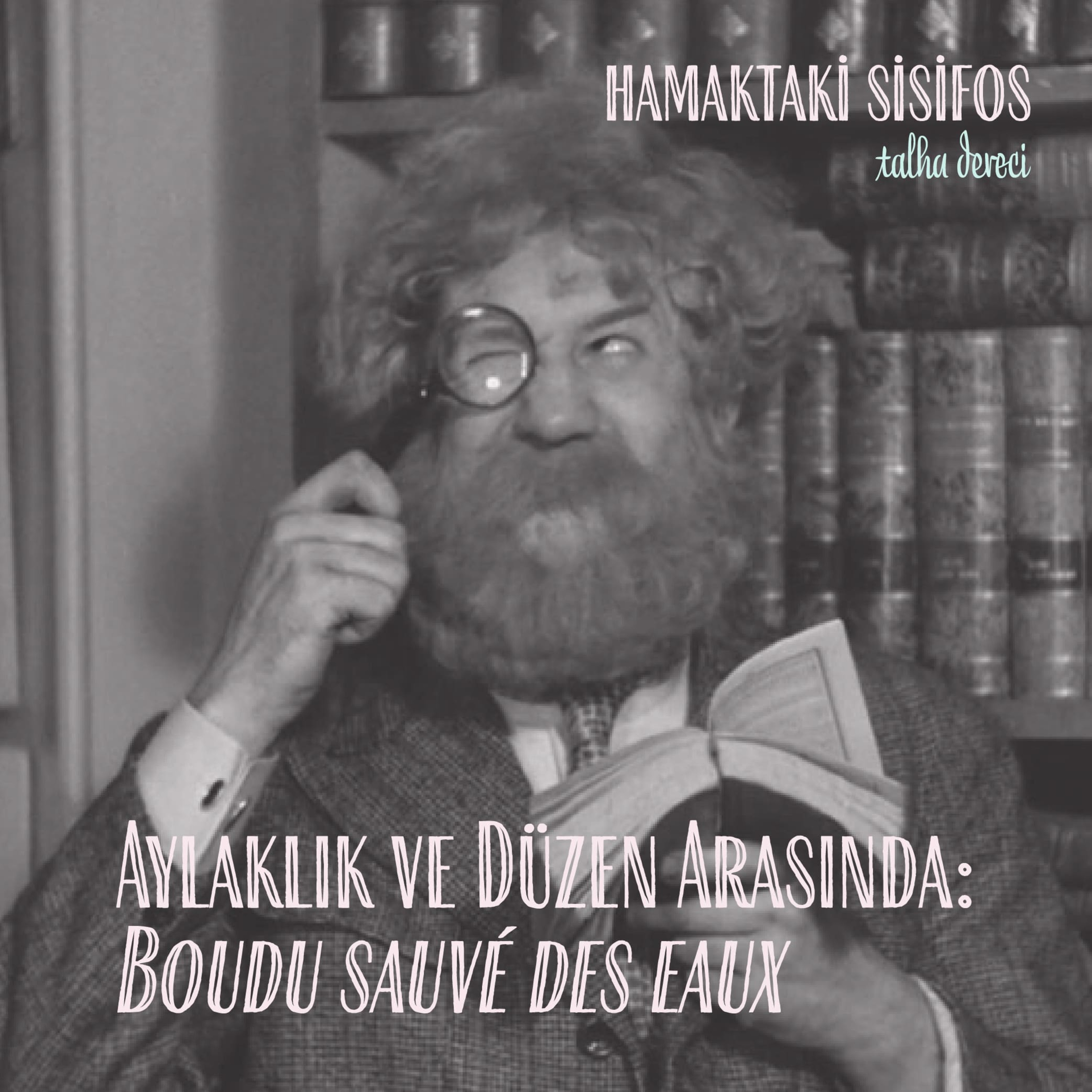 Aylaklık ve Düzen Arasında: Boudu sauvé des eaux episode artwork