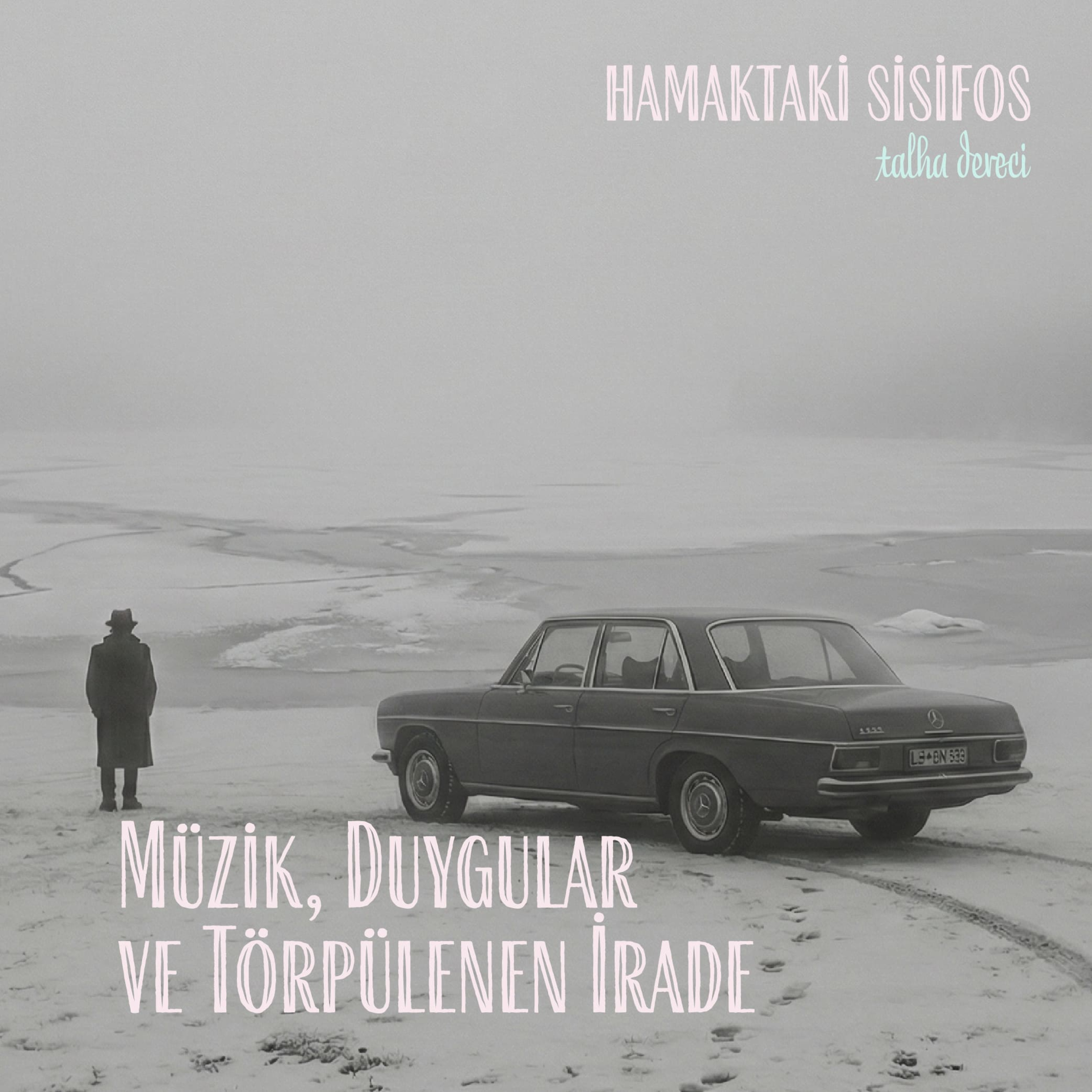 Müzik, Duygular ve Törpülenen İrade episode artwork