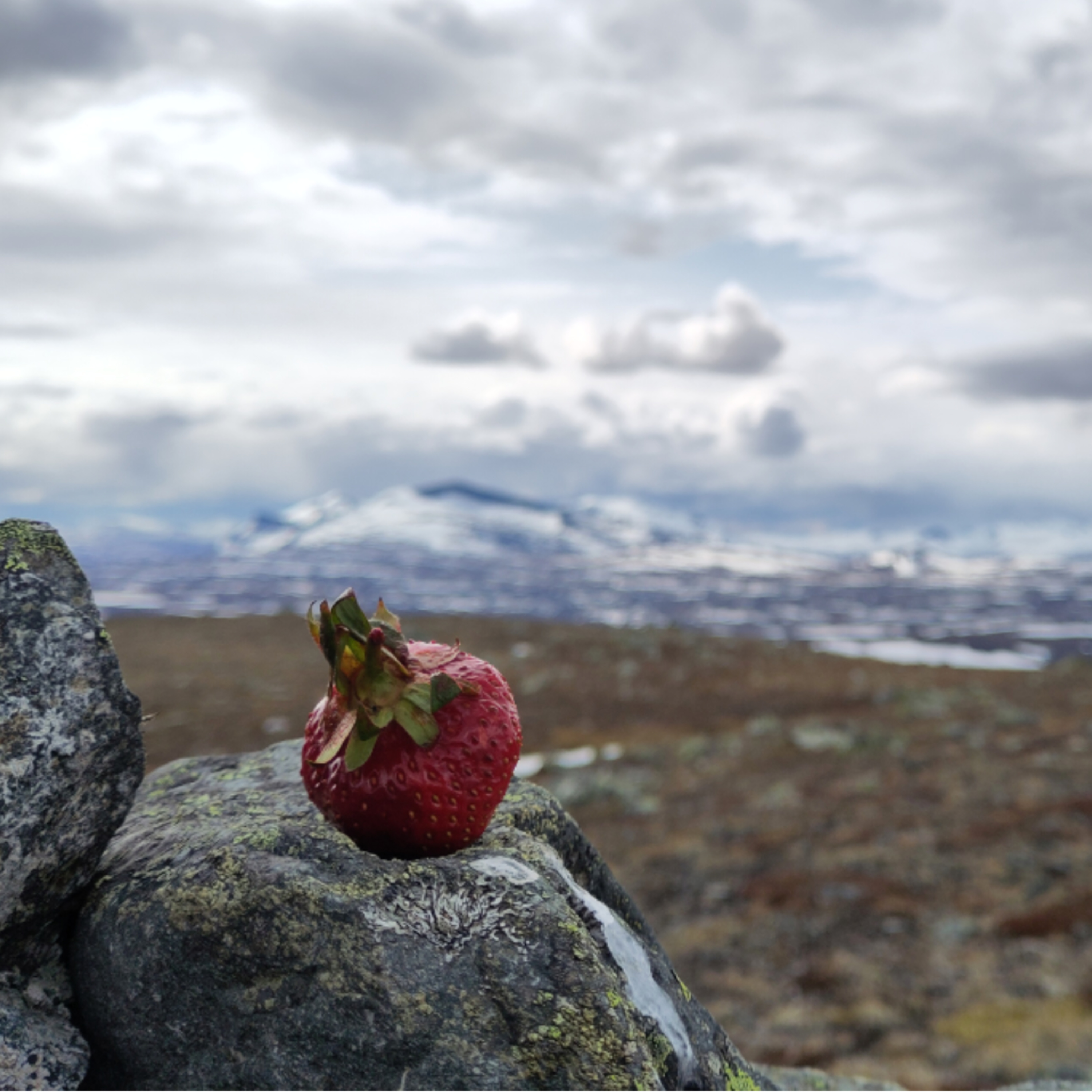 Långpromenaden