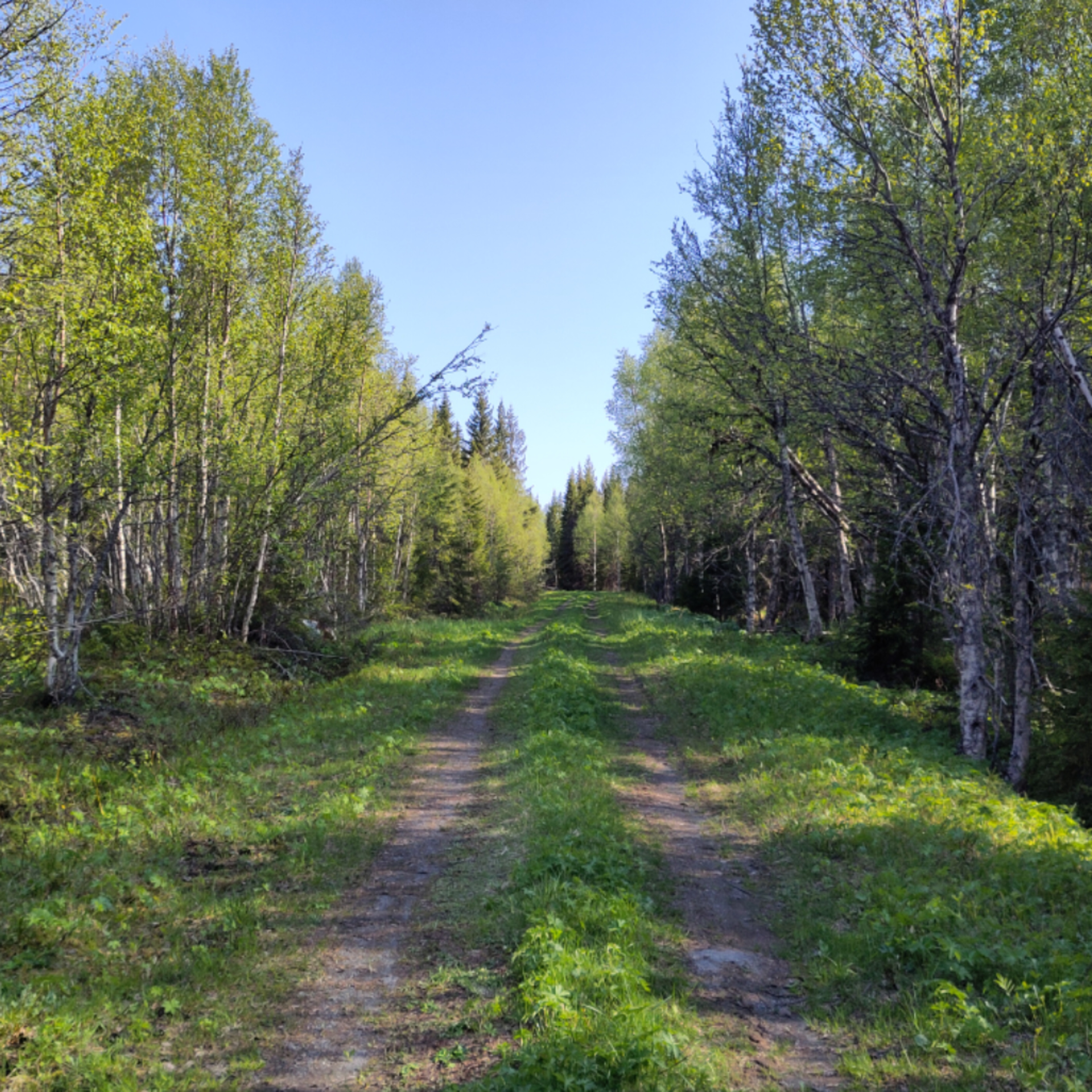 Långpromenaden