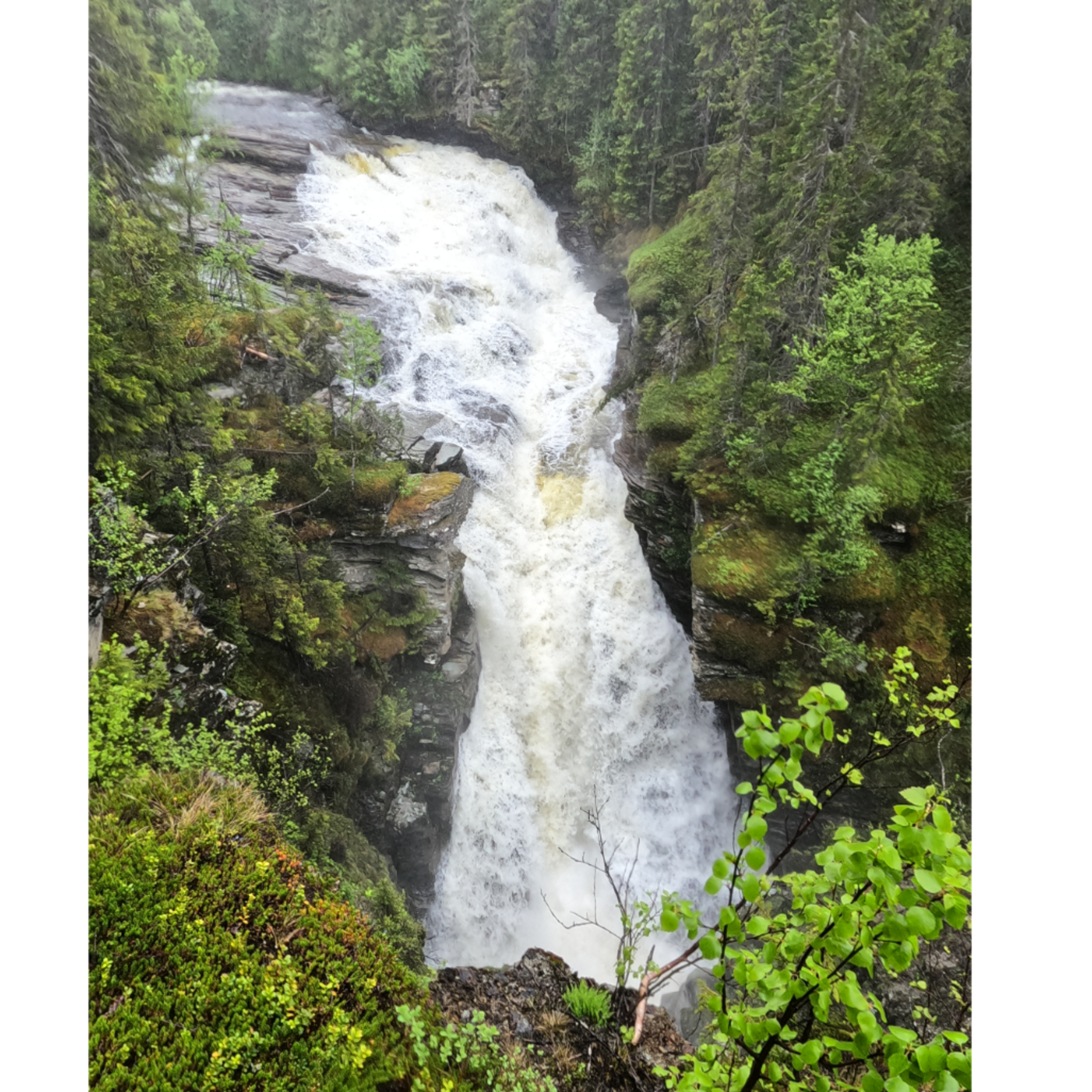Långpromenaden