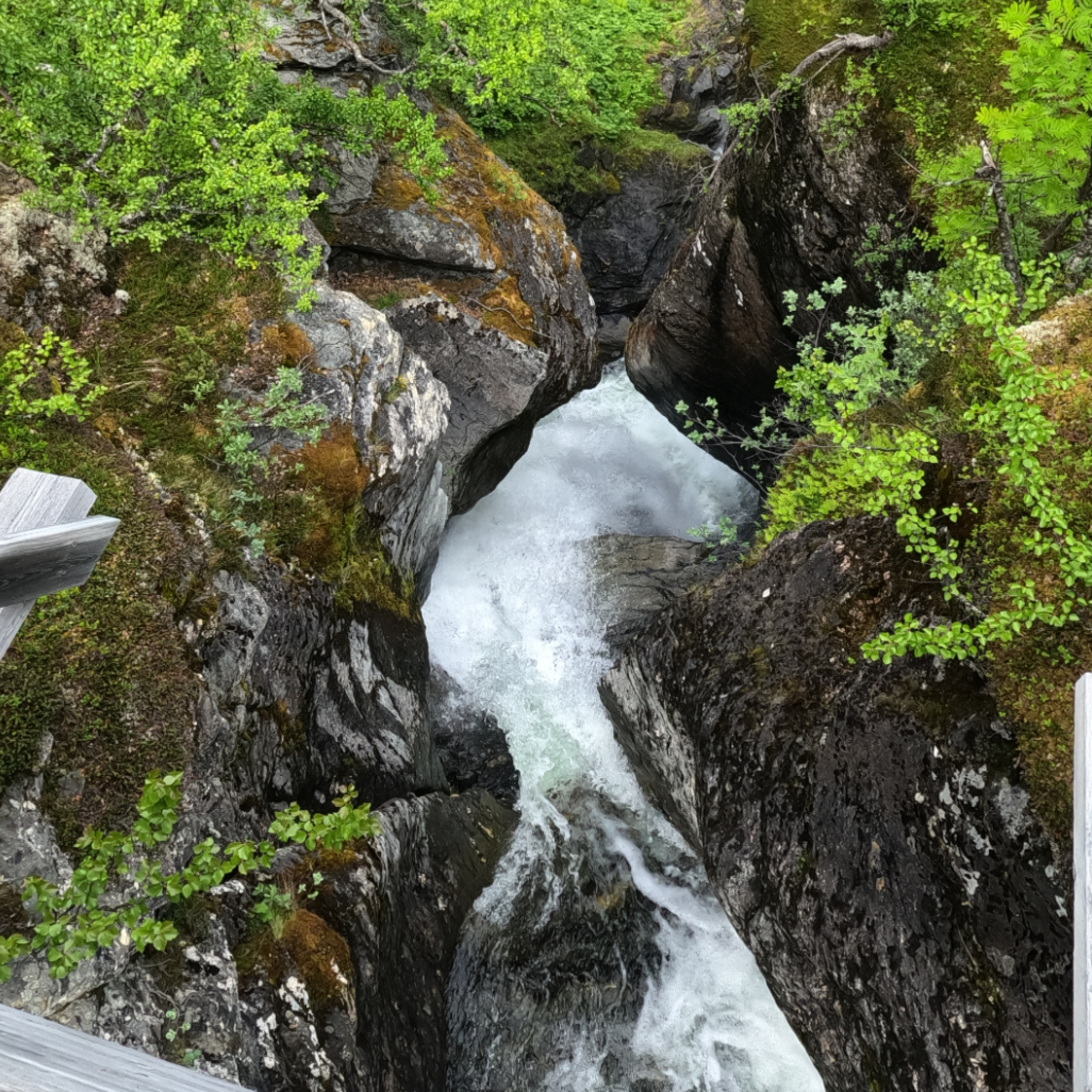 Långpromenaden