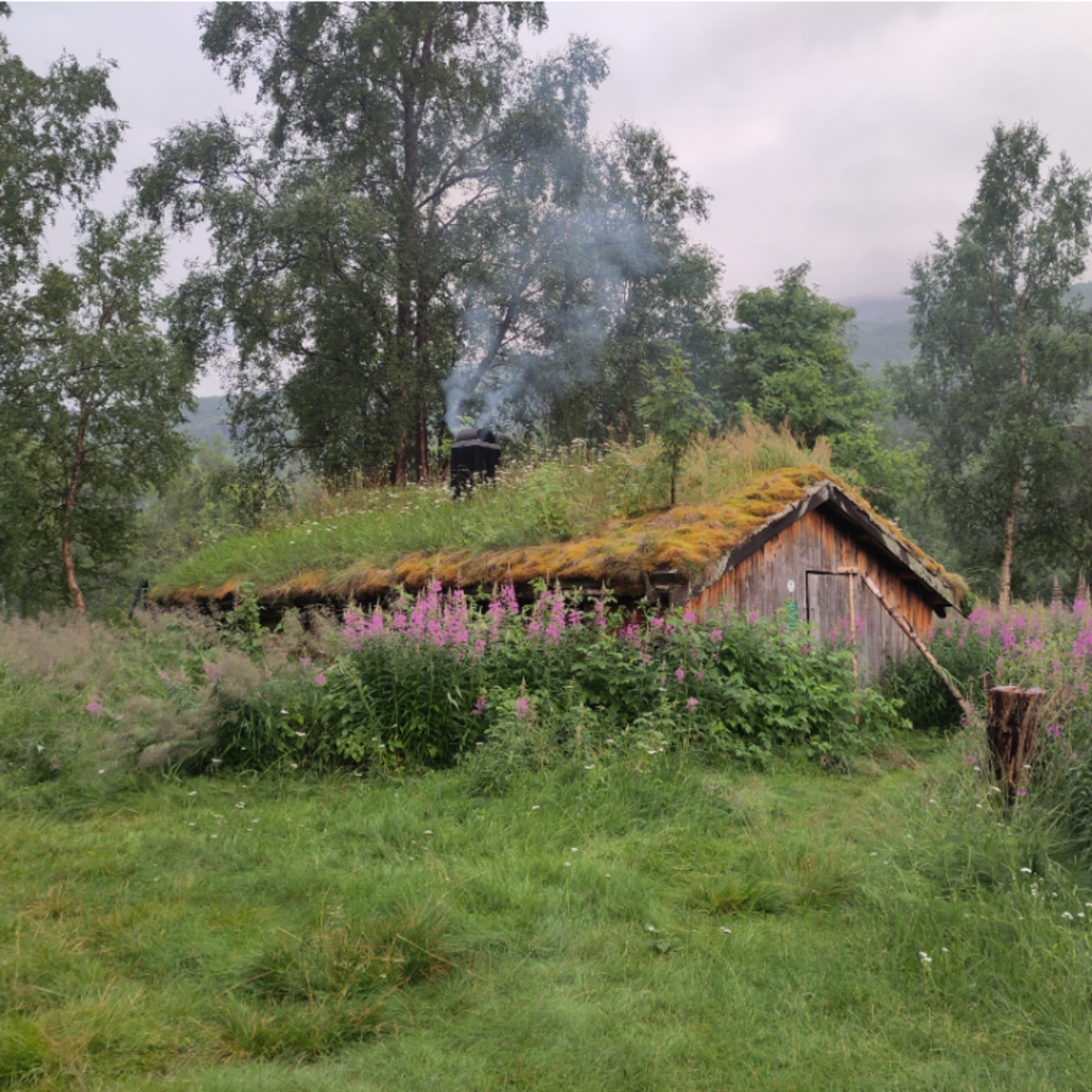 Dag 60: åska, ösregn & hyttekos  episode artwork