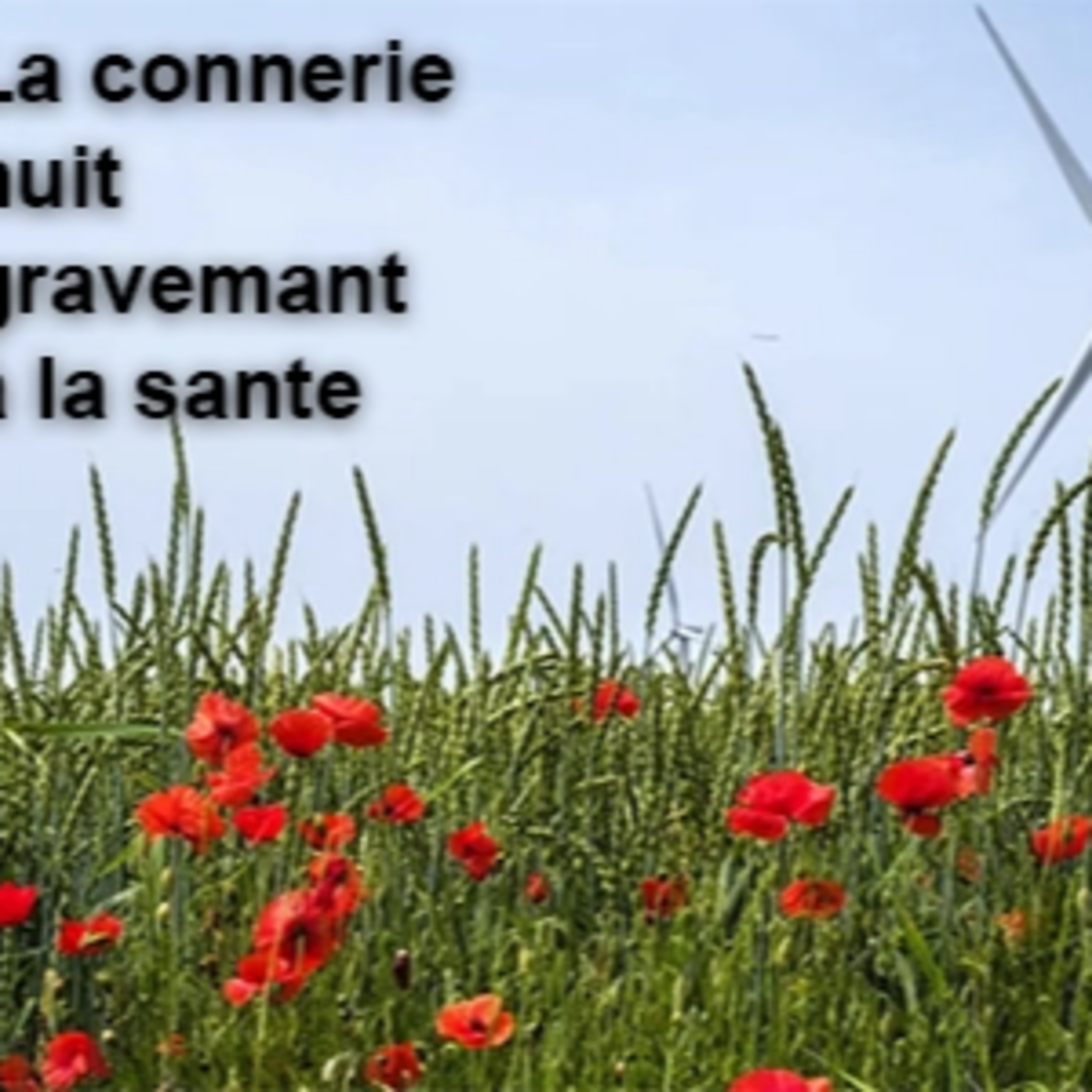 Les Tronches de Cake l\'actualité mordante du Net