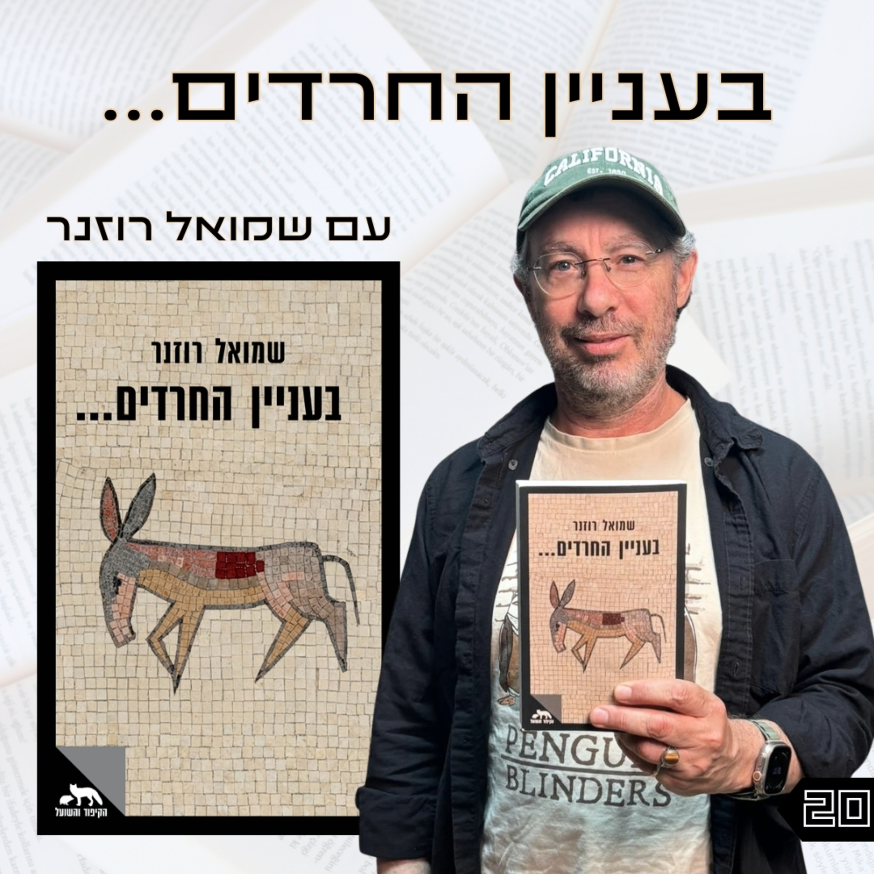 פרק 20 | בעניין החרדים... | שמואל רוזנר episode artwork