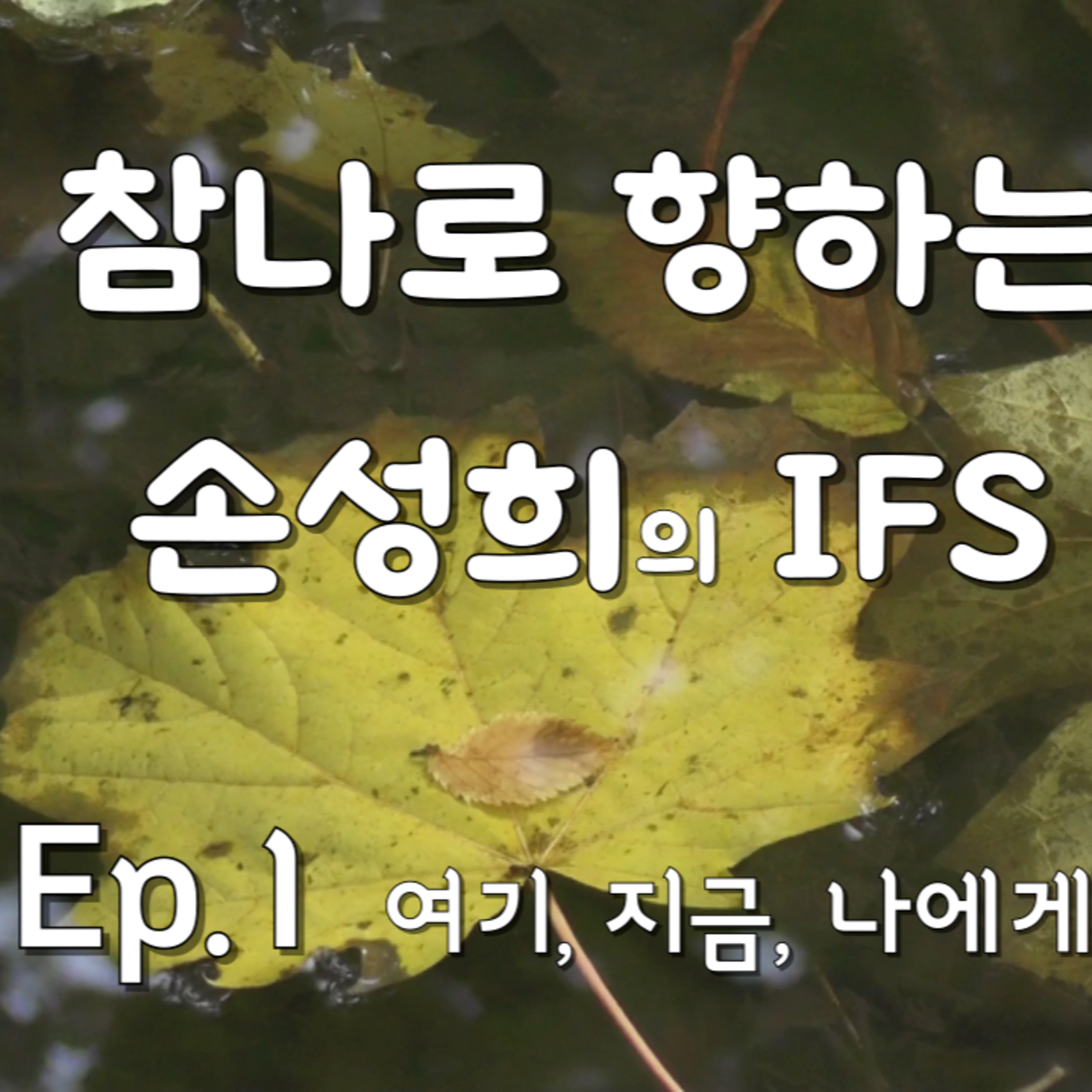 손성희의 IFS 명상 Ep.1 - 여기, 지금, 나에게로 돌아오기 episode artwork