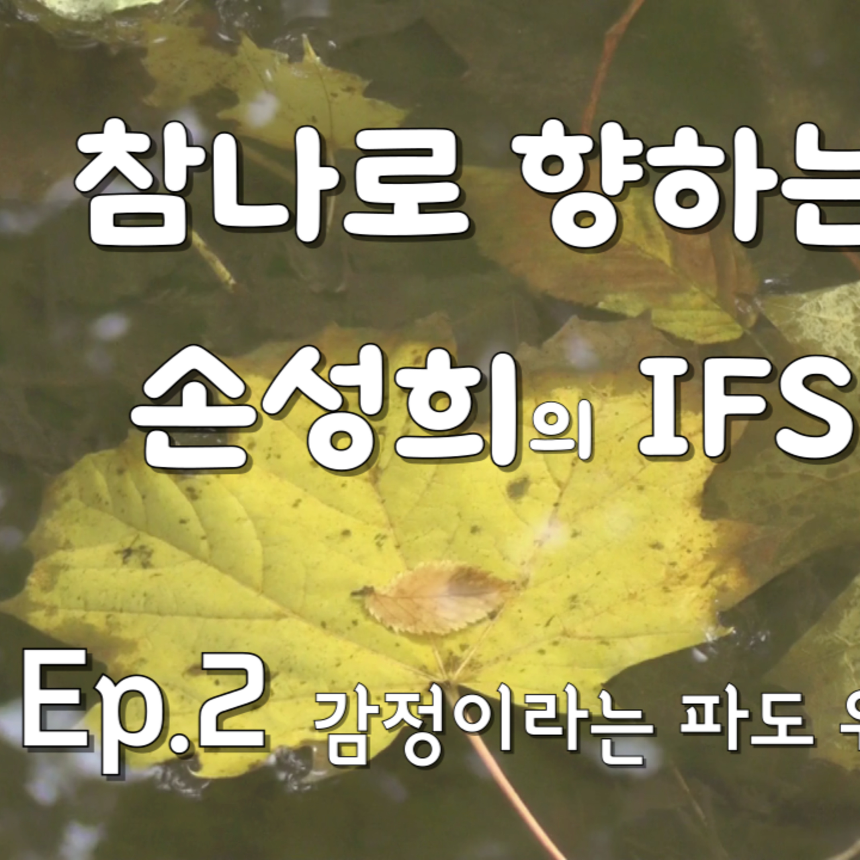 성희의 IFS 명상 Ep.2 – “감정이라는 파도 위에 머무르기” episode artwork