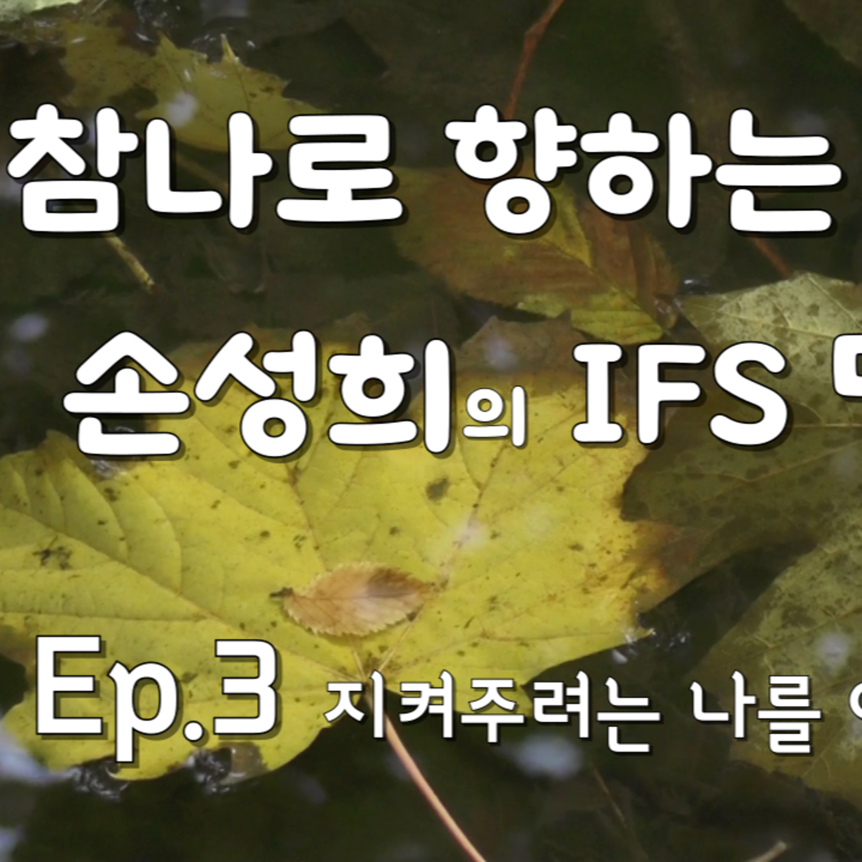 성희의 IFS 명상 Ep.3 – “지키려는 마음을 이해하기” episode artwork