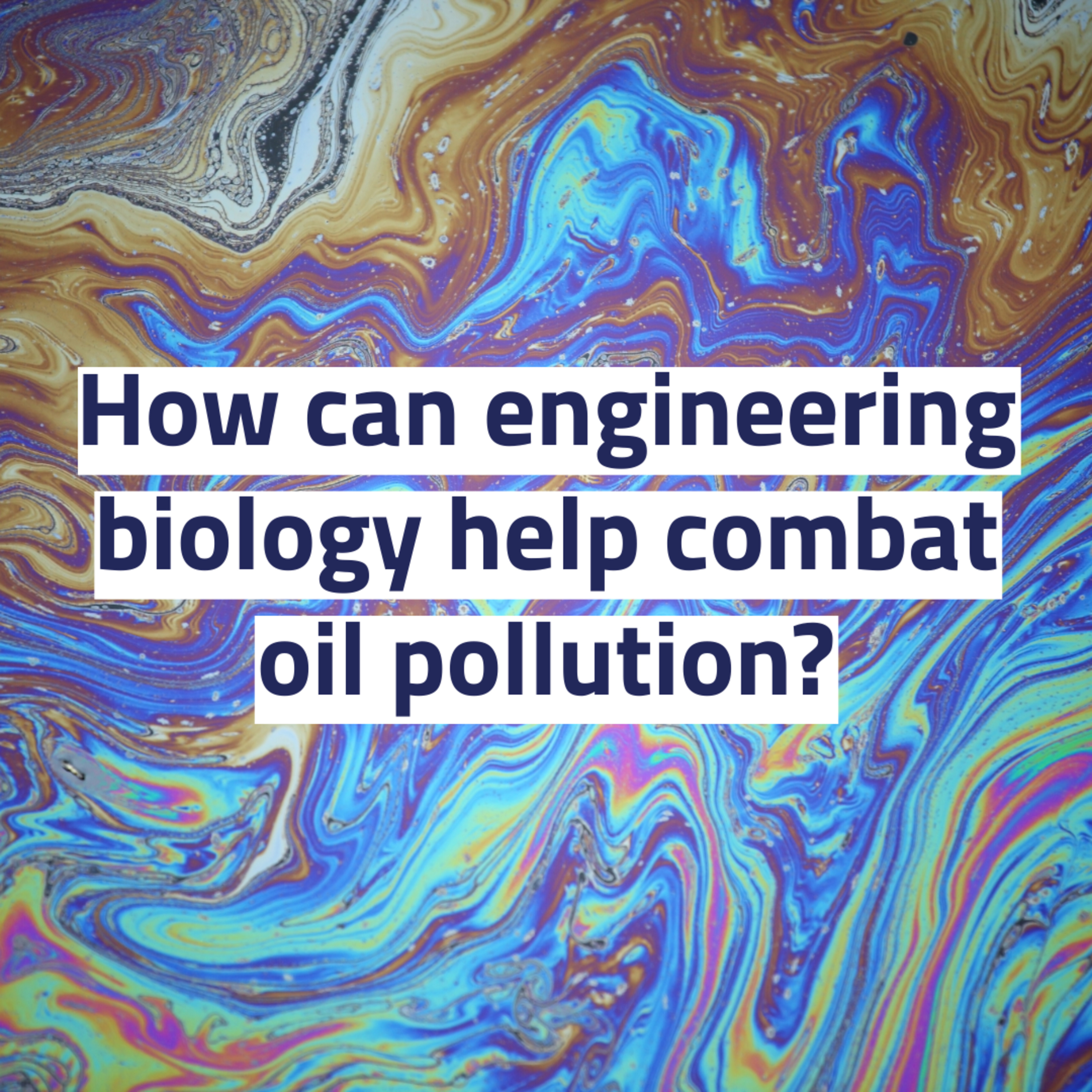 How can engineering biology help combat oil pollution?