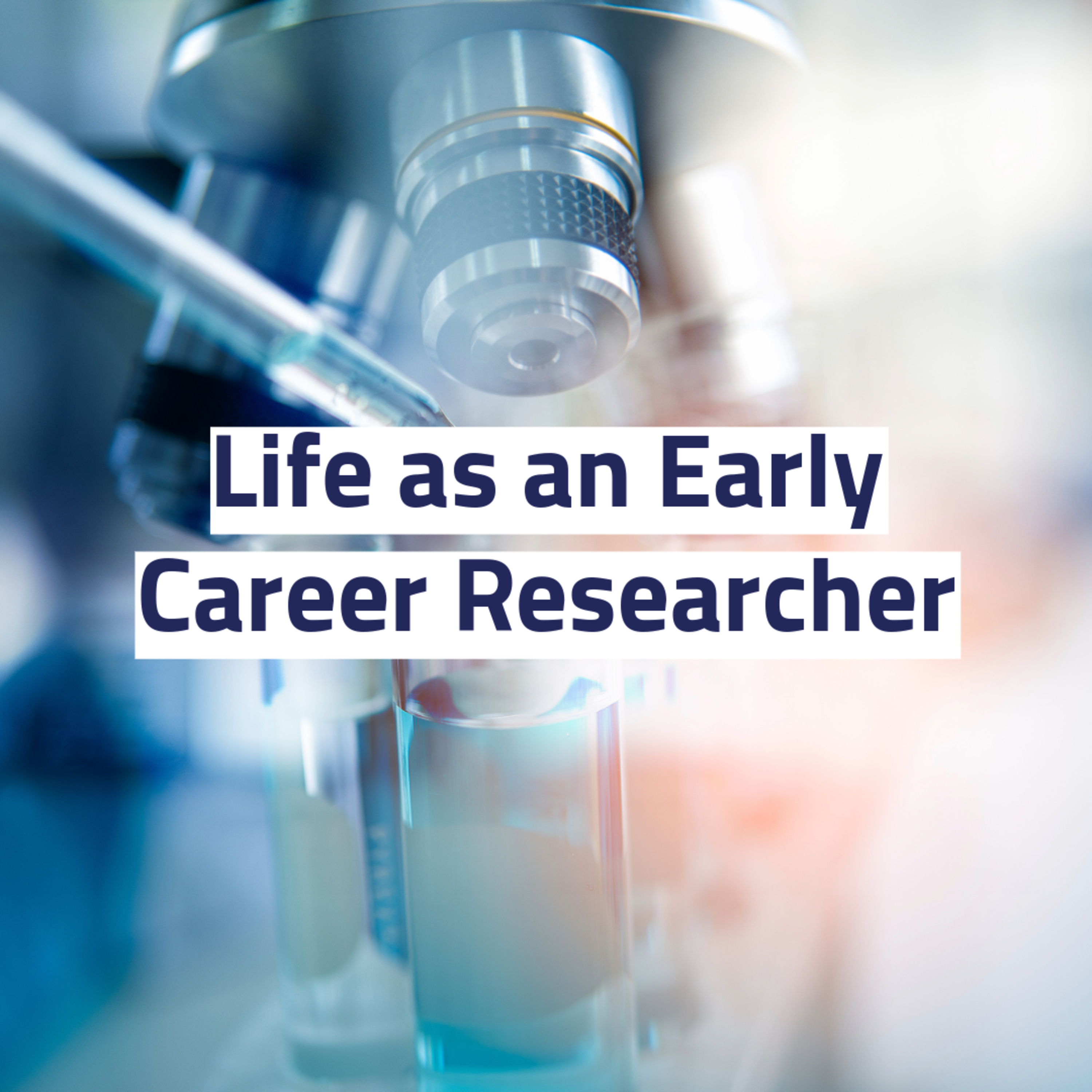 Life as an Early Career Researcher