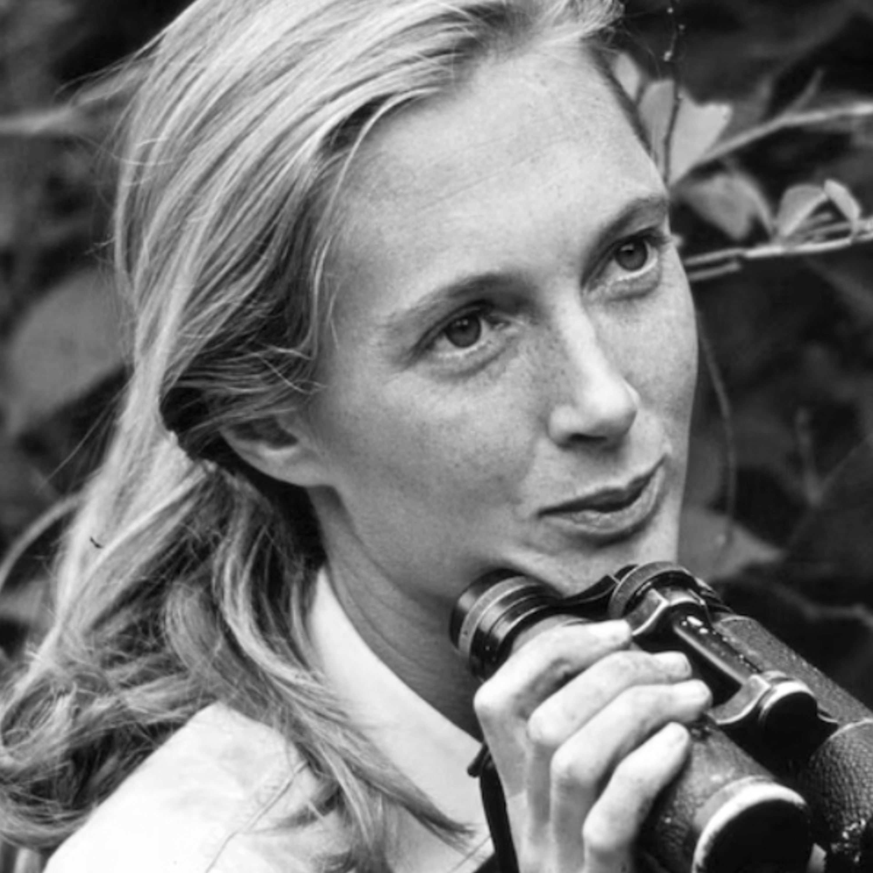 QF53: Jane Goodall And An Example Of Her Impact On People episode artwork