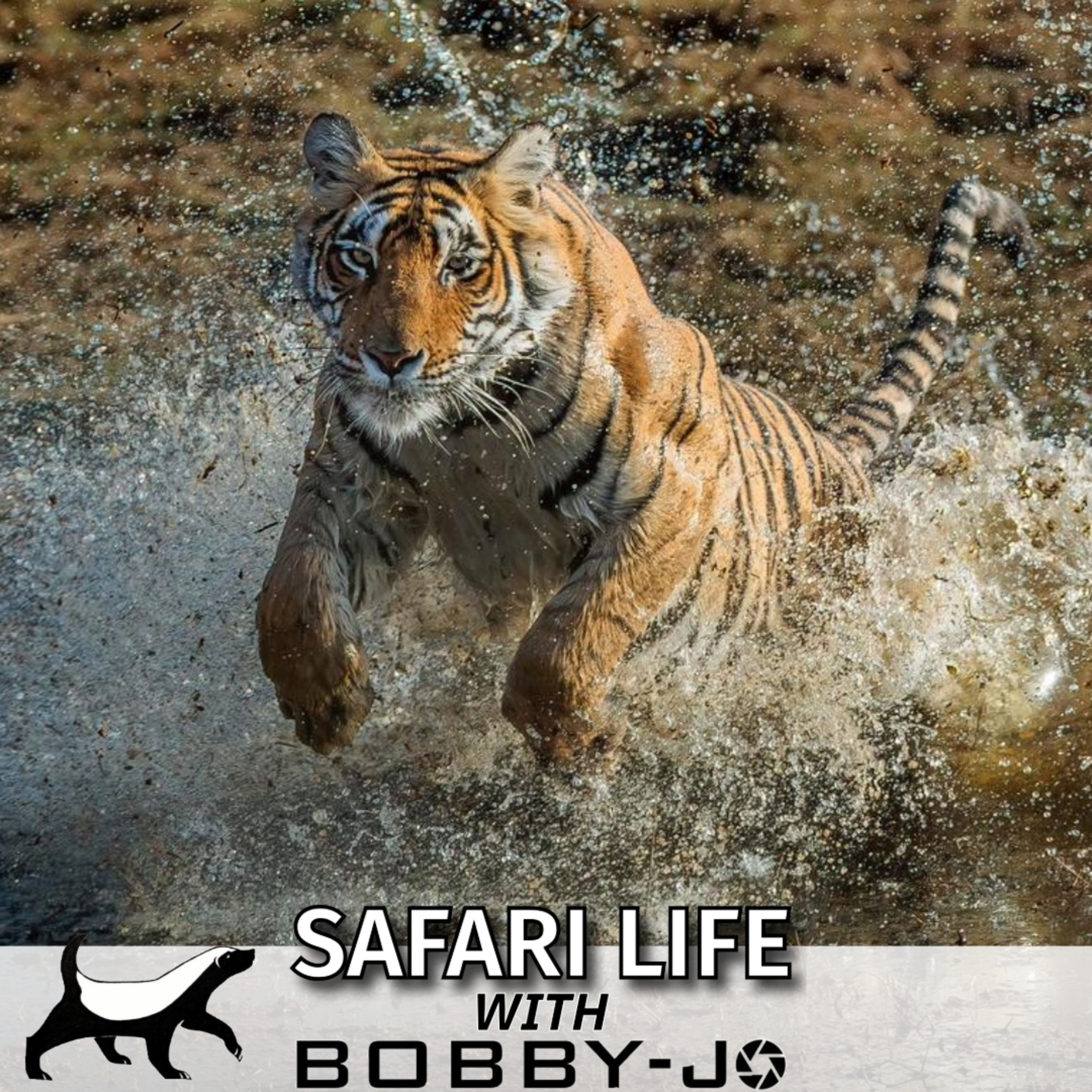 Ep8: Come With Me On An Incredible Indian Safari!